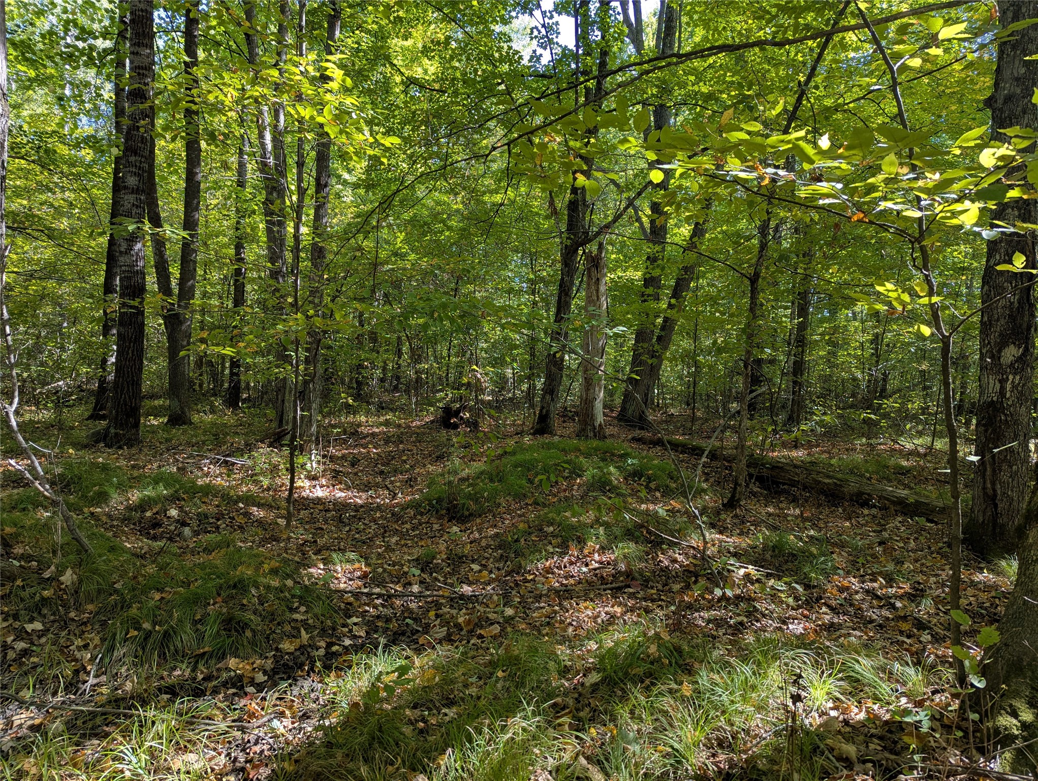 Lot 17 Rabbit Run Property Photo 8