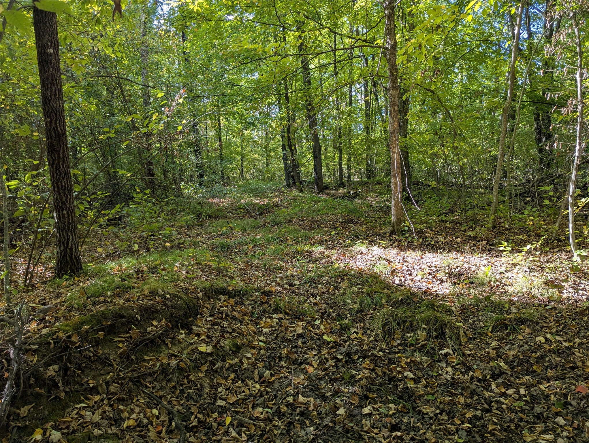 Lot 17 Rabbit Run Property Photo 9