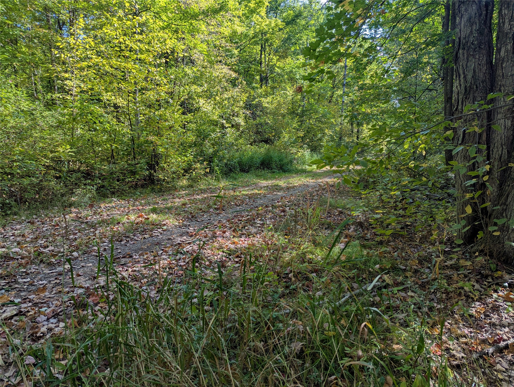 Lot 17 Rabbit Run Property Photo 10