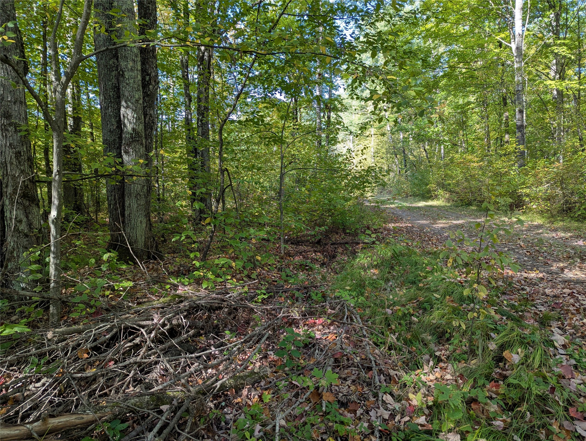 Lot 17 Rabbit Run Property Photo 11