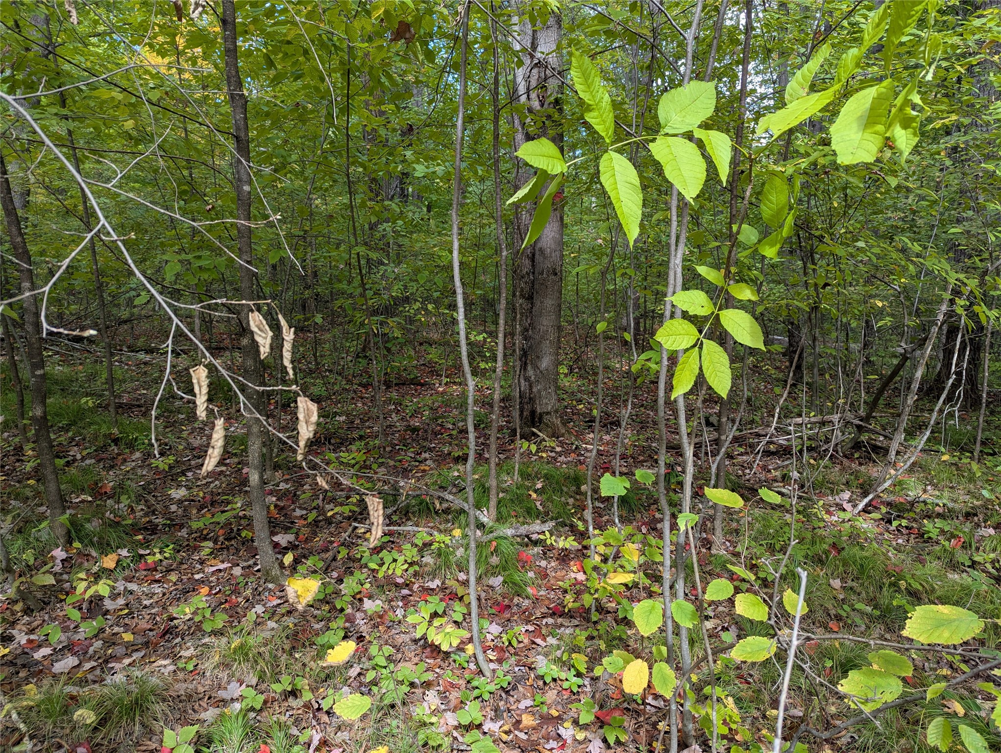 Lot 17 Rabbit Run Property Photo 12