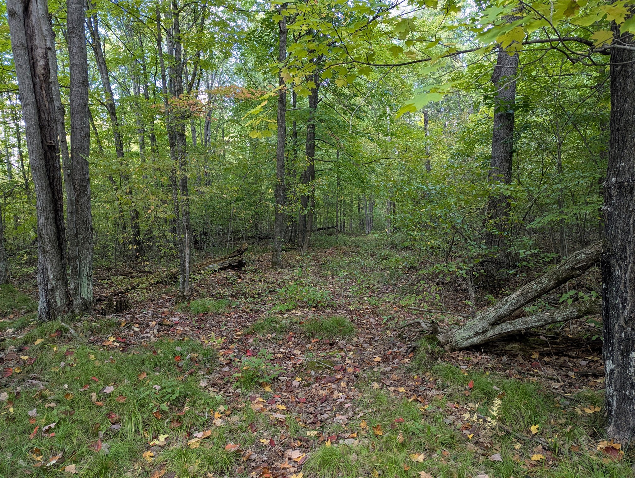 Lot 17 Rabbit Run Property Photo 13