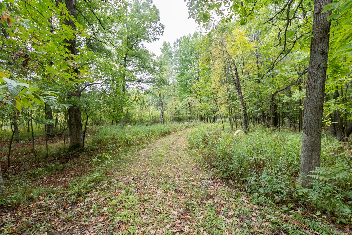 20 Acres 153rd Avenue Property Photo 1