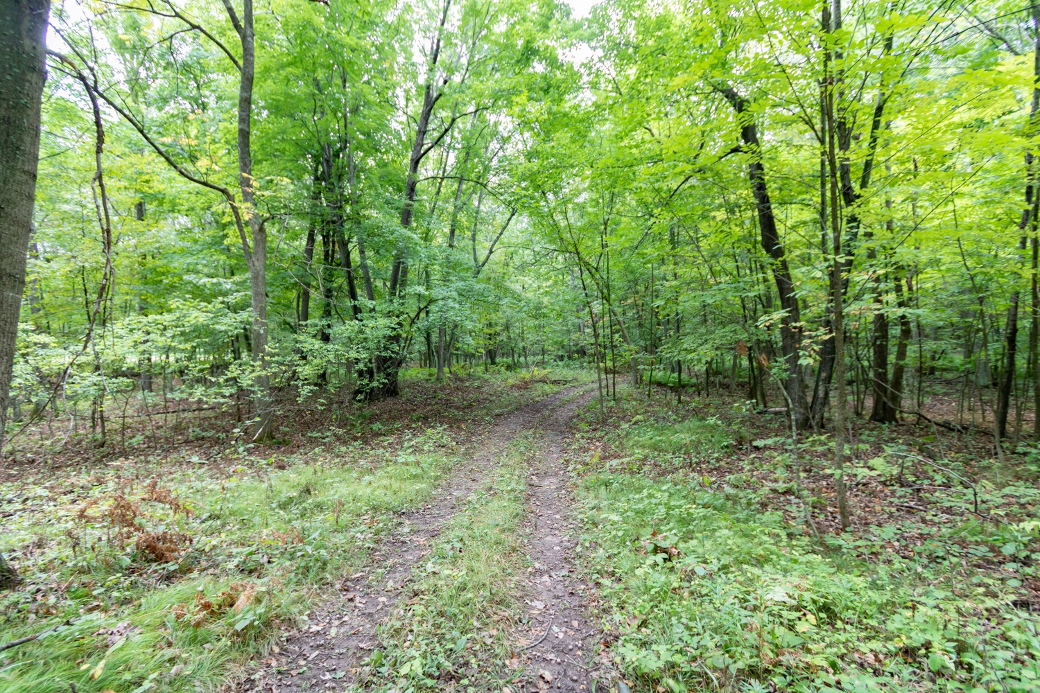 20 Acres 153rd Avenue Property Photo 2