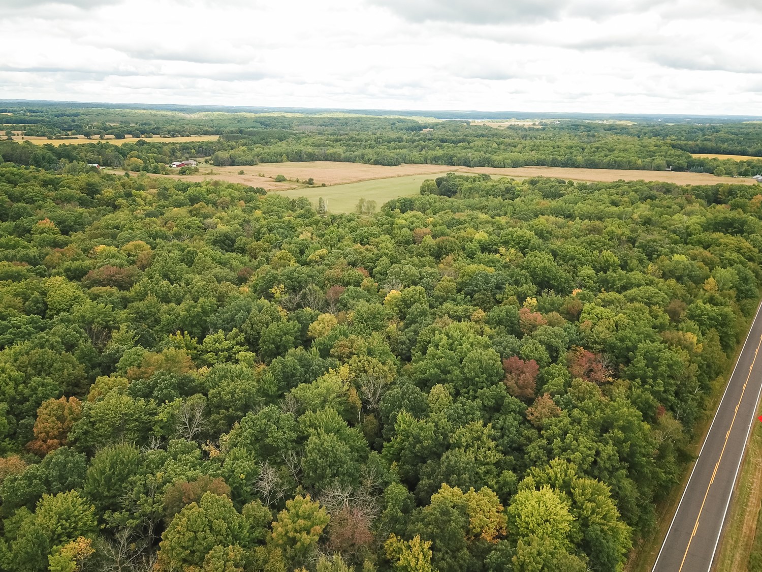 20 Acres 153rd Avenue Property Photo 12