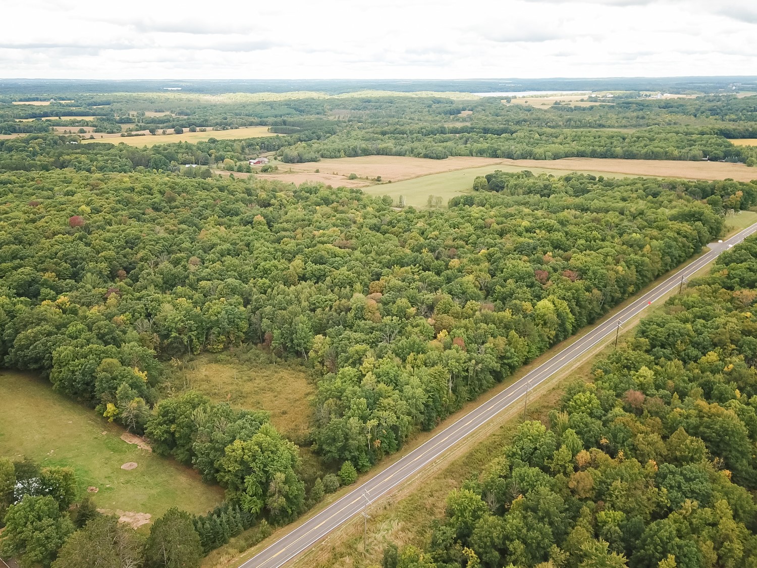 20 Acres 153rd Avenue Property Photo 13