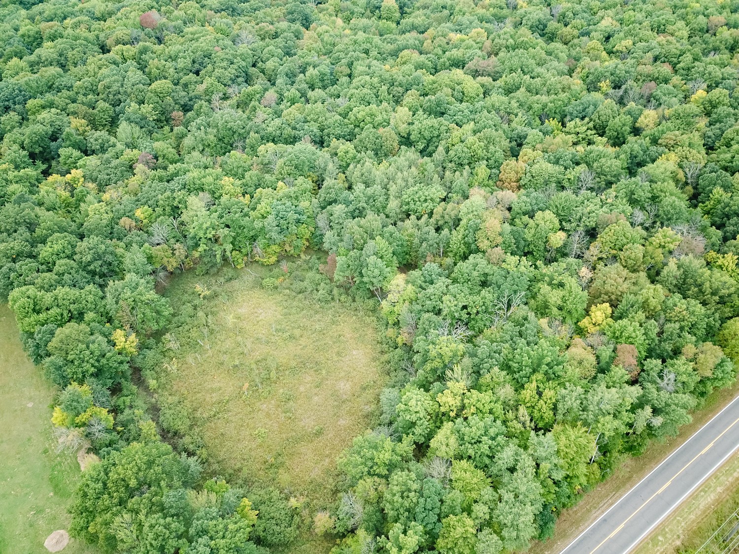 20 Acres 153rd Avenue Property Photo 14