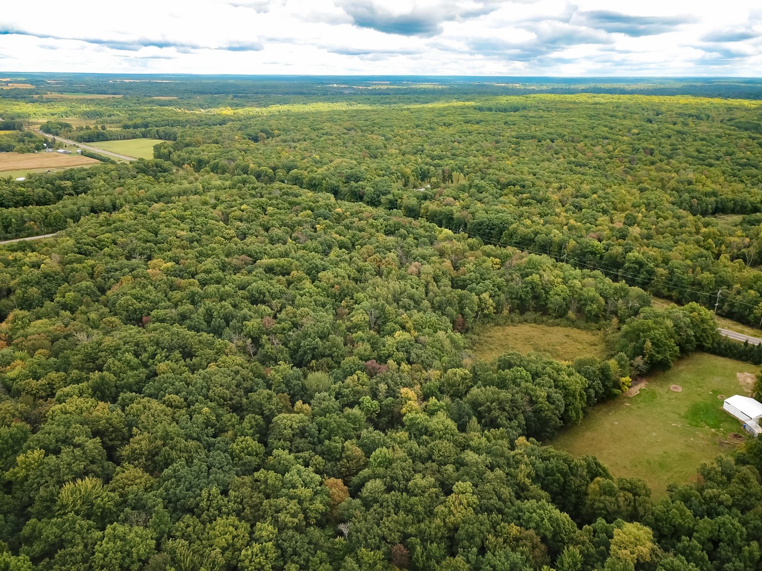 20 Acres 153rd Avenue Property Photo 15
