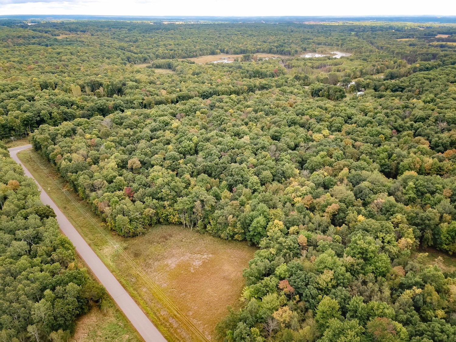 20 Acres 153rd Avenue Property Photo 16