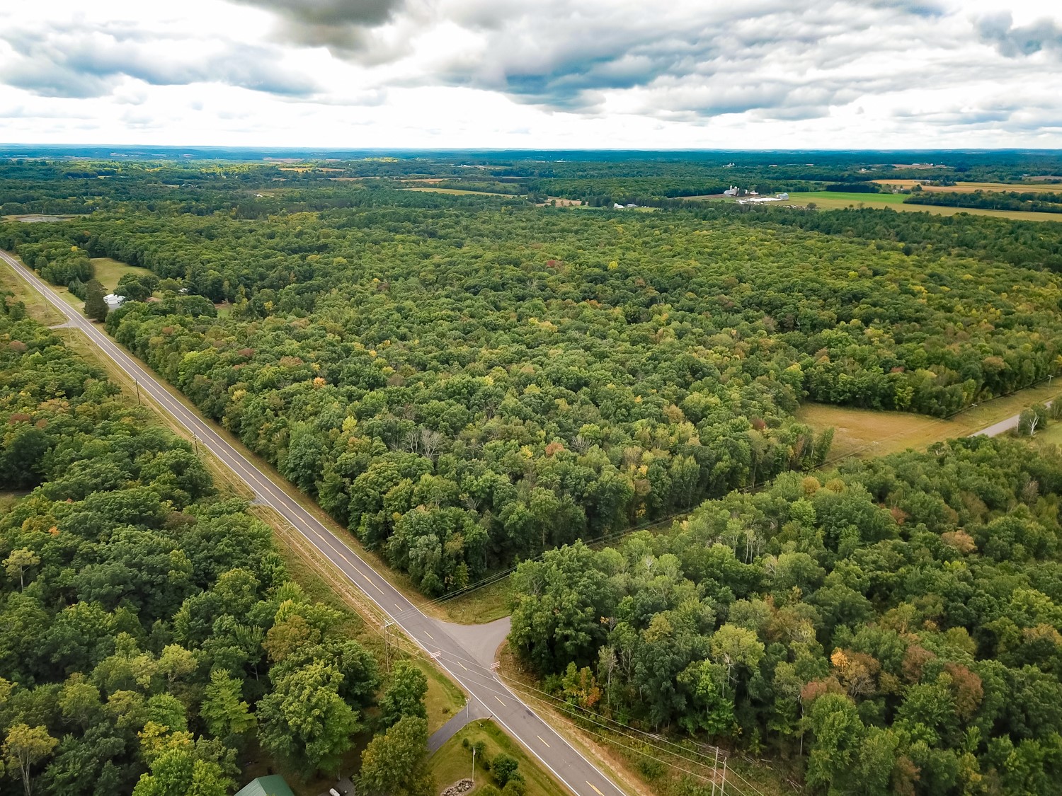 20 Acres 153rd Avenue Property Photo 17