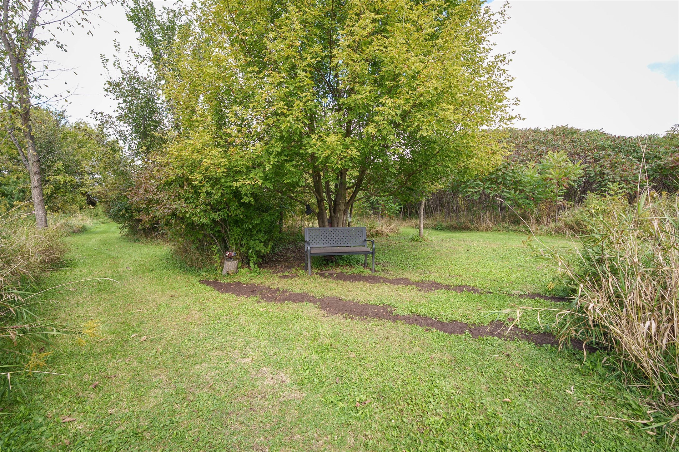 5912 84th Avenue Property Photo 50