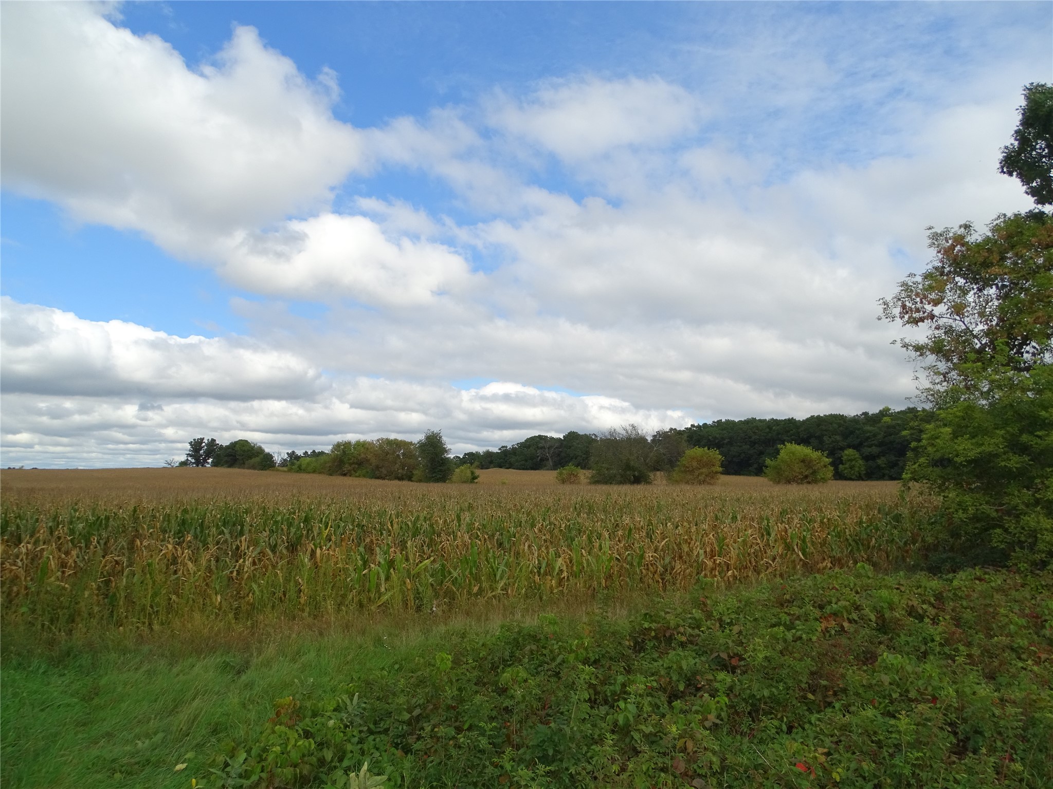 000 State Highway 85 Property Photo 1