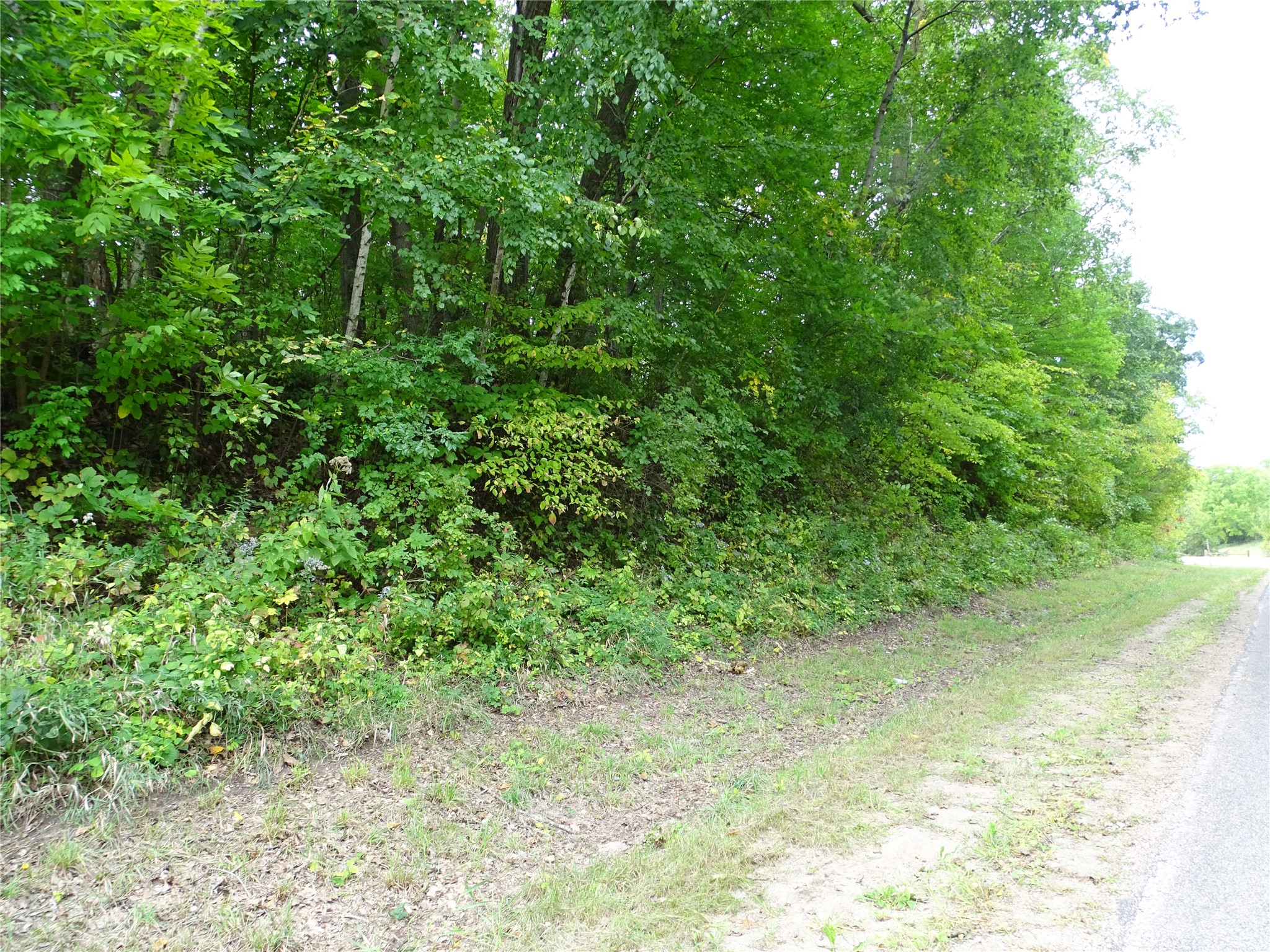 000 County Road E Property Photo 2