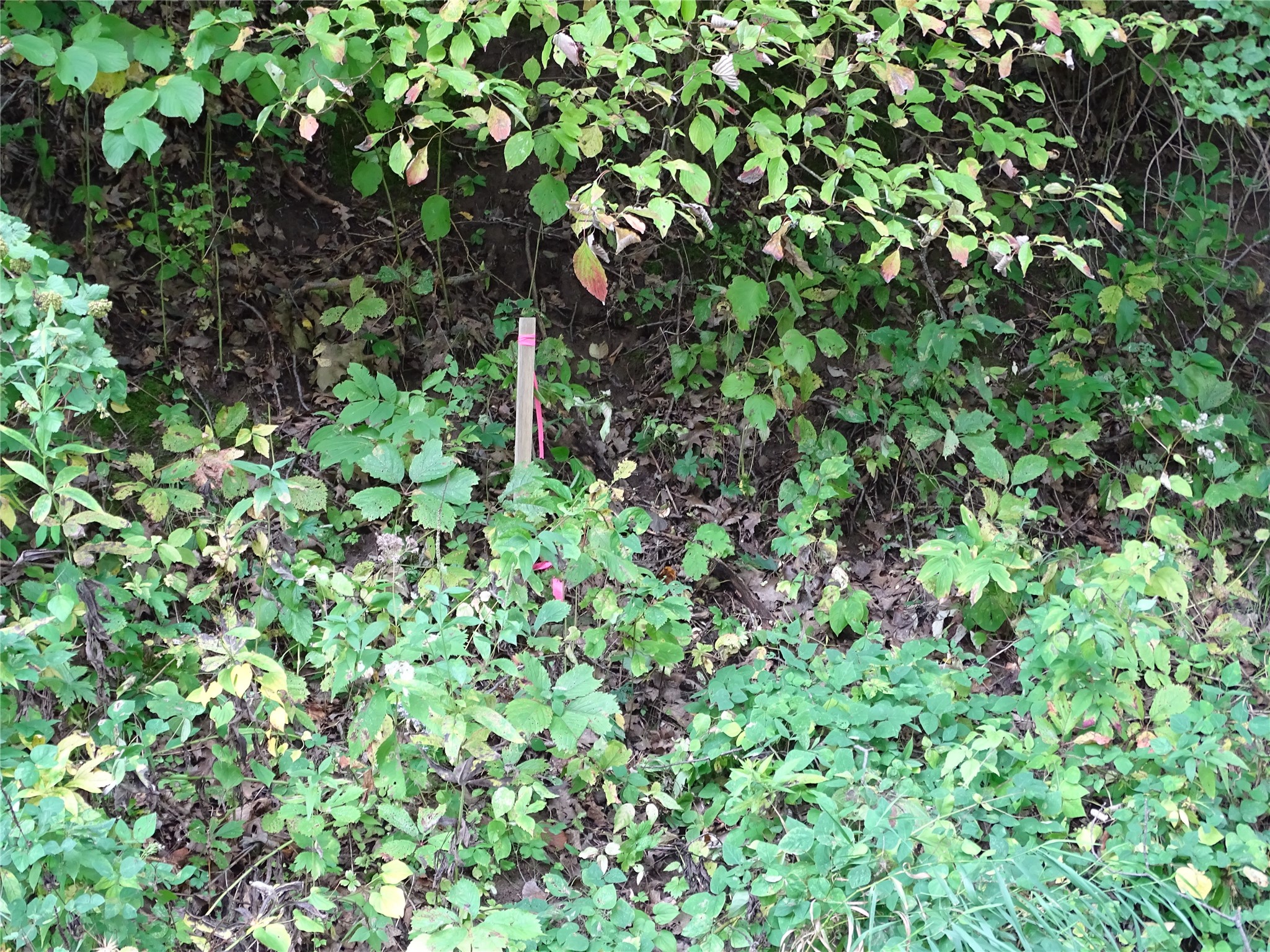 000 County Road E Property Photo 4