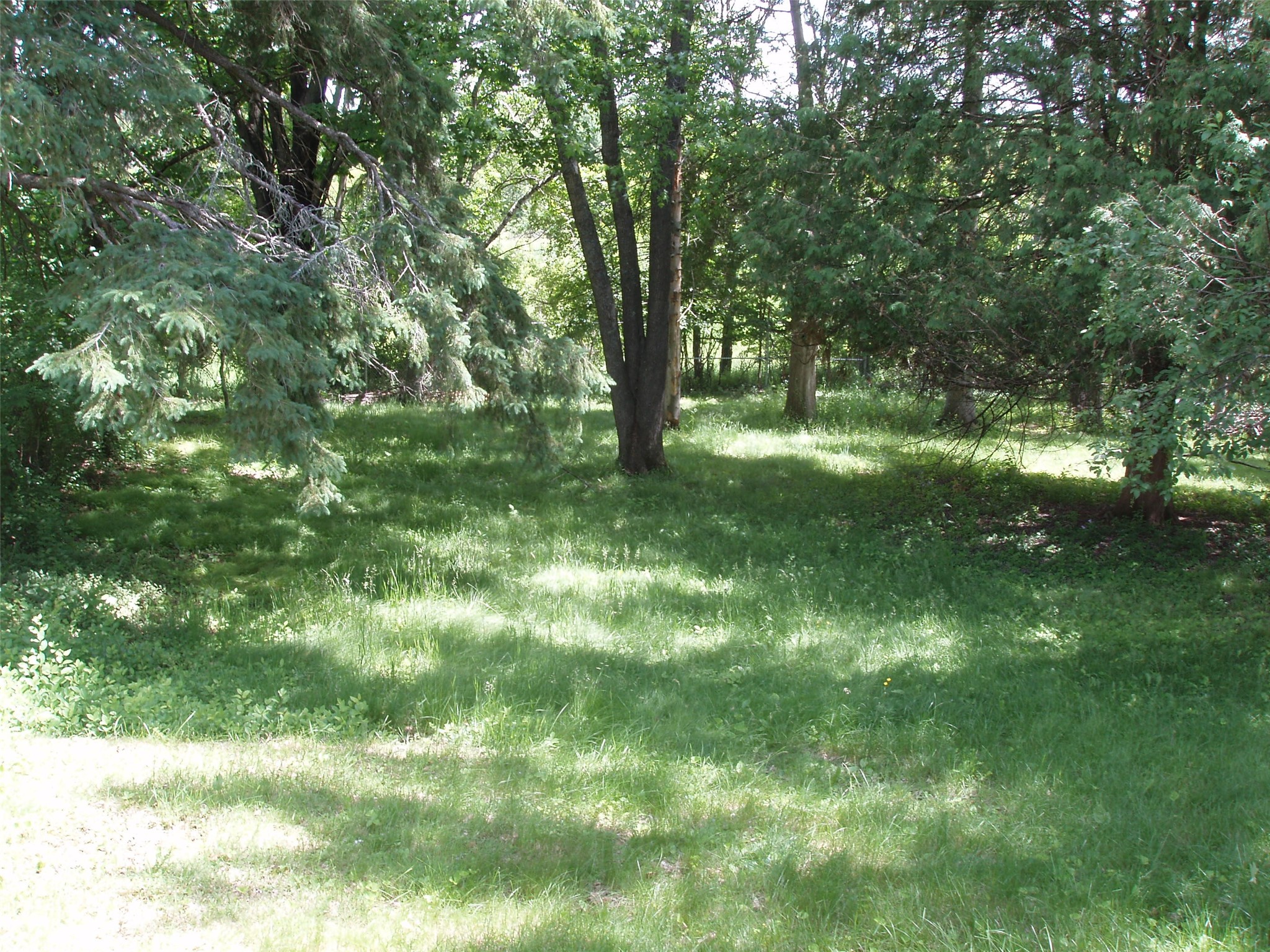 563 S 3rd Avenue Property Photo 4