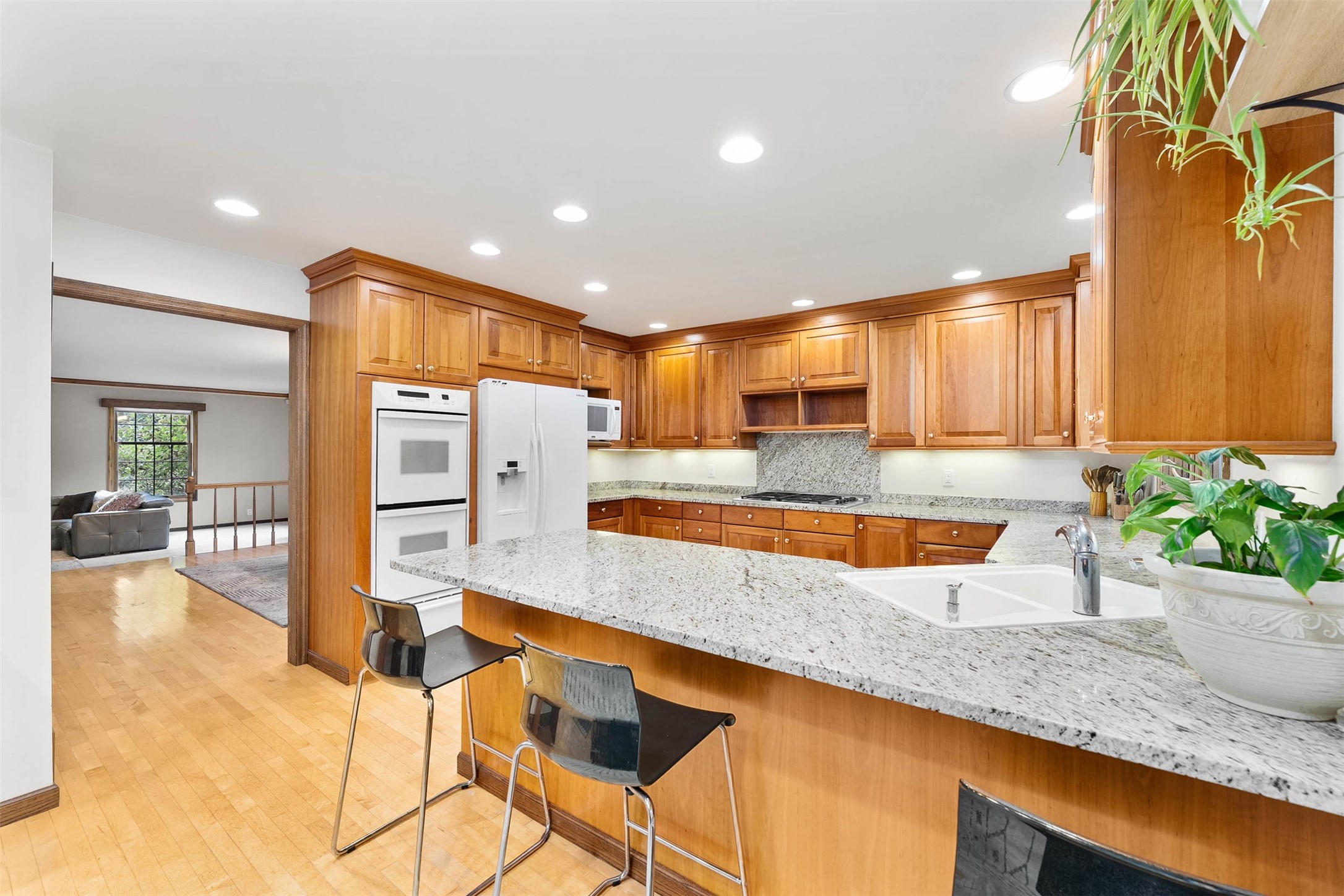 3602 Timber Trails Court Property Photo 6