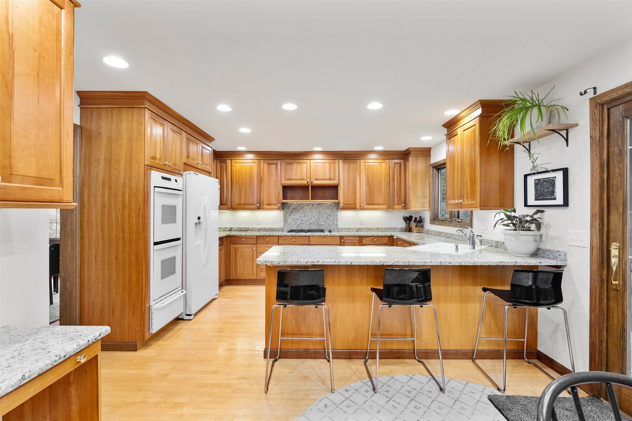 3602 Timber Trails Court Property Photo 7