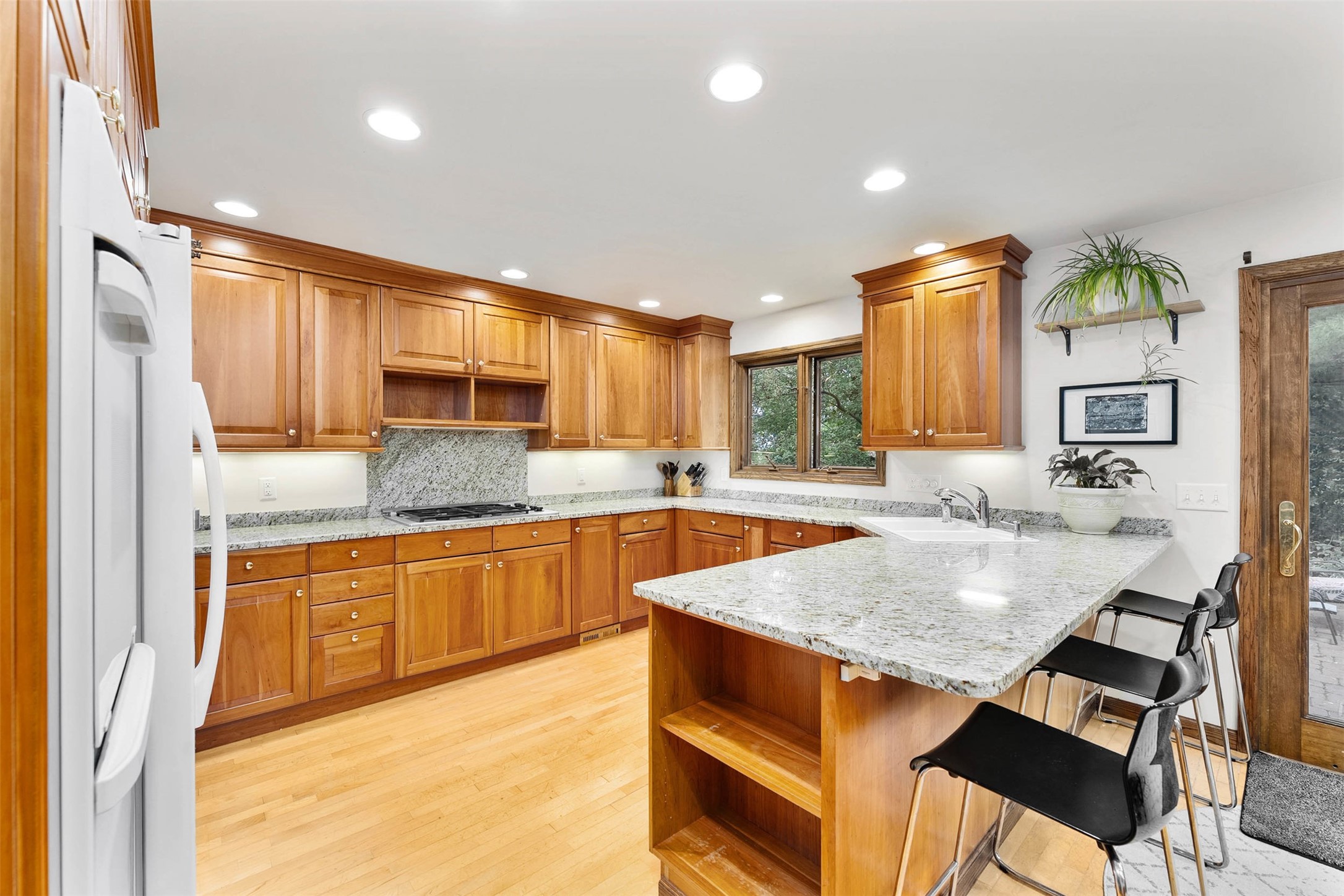 3602 Timber Trails Court Property Photo 8
