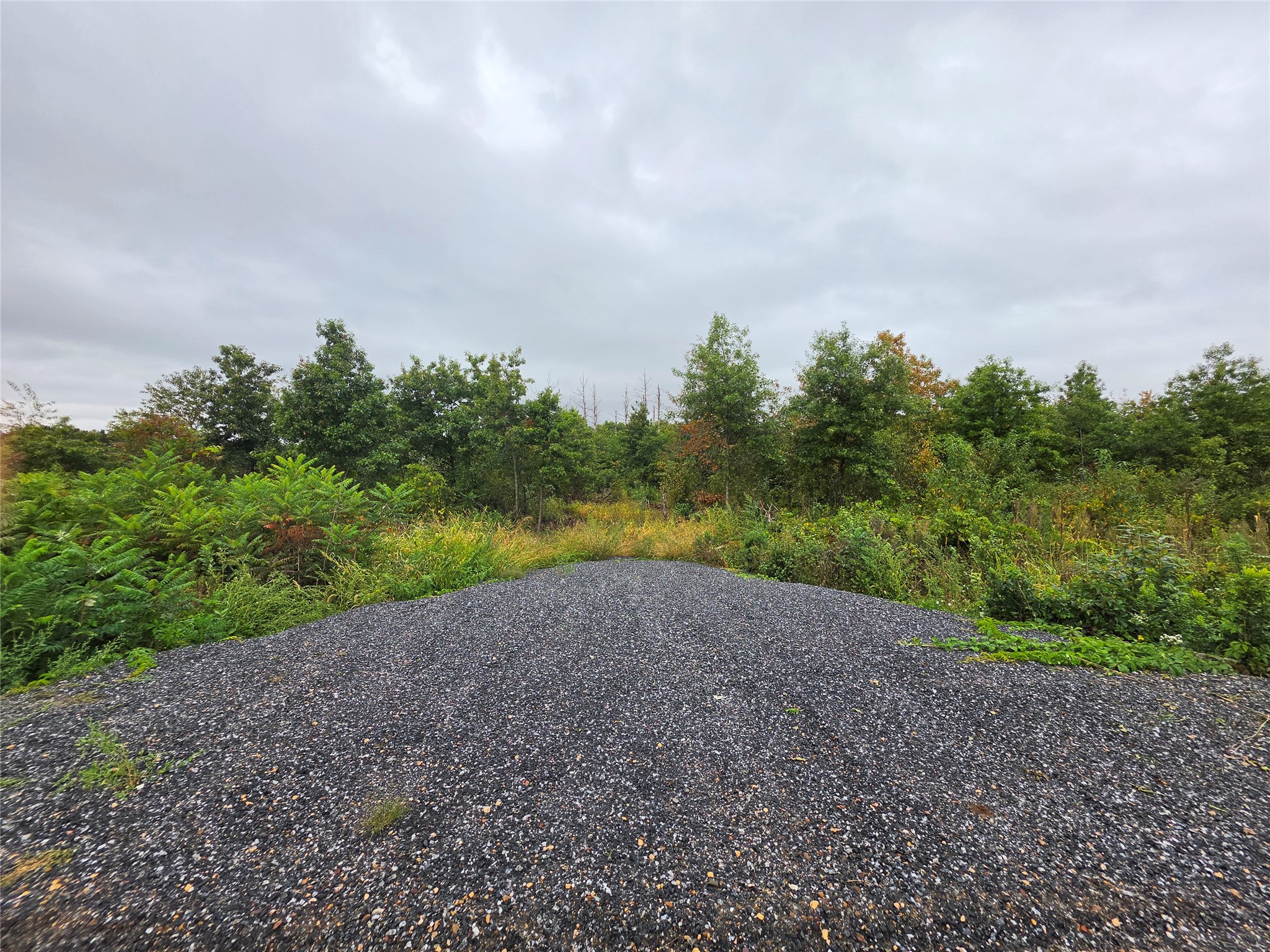 Lot 6 370th Avenue Property Photo 1