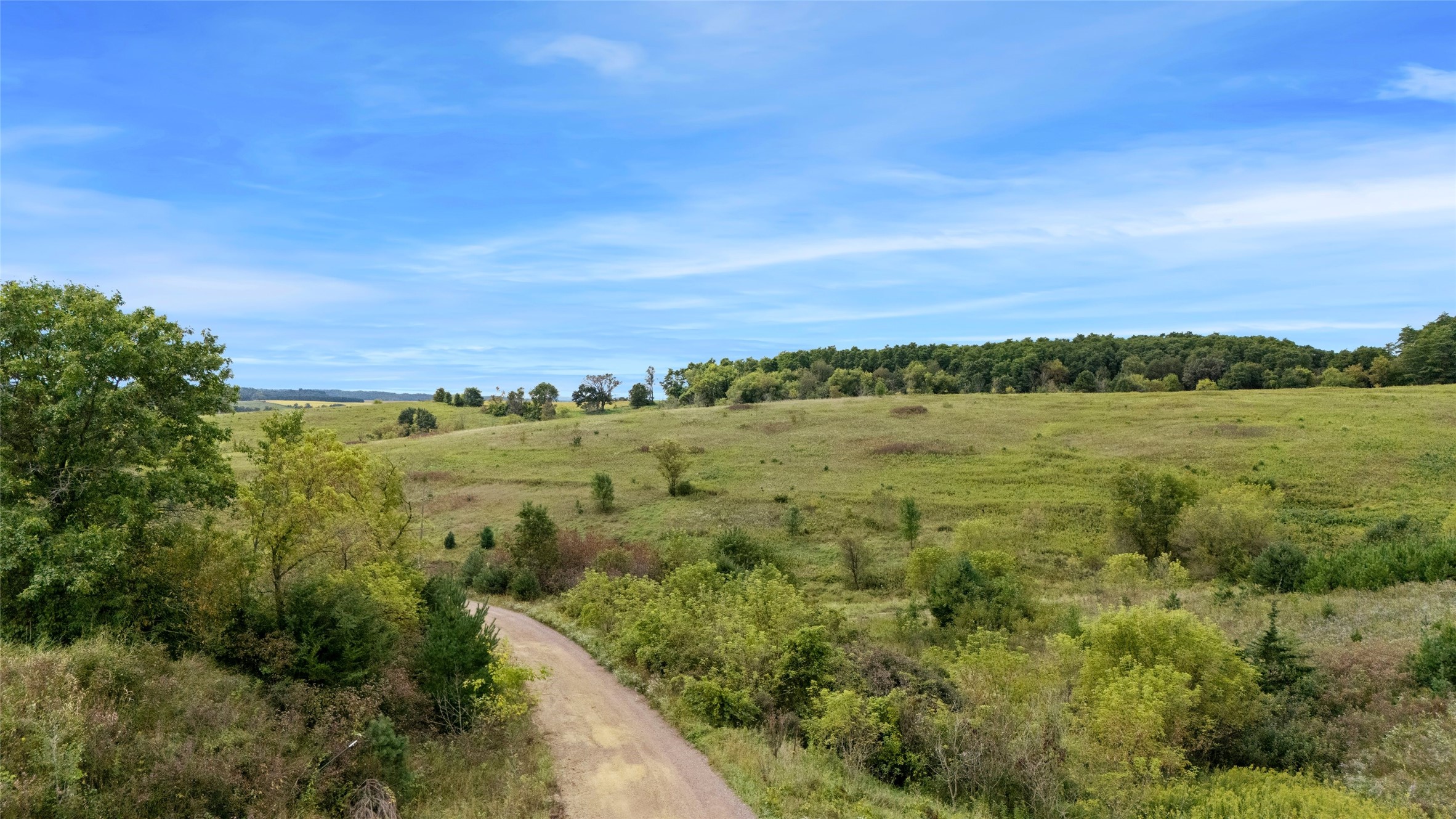 11124 W Neperud Road Property Photo 45
