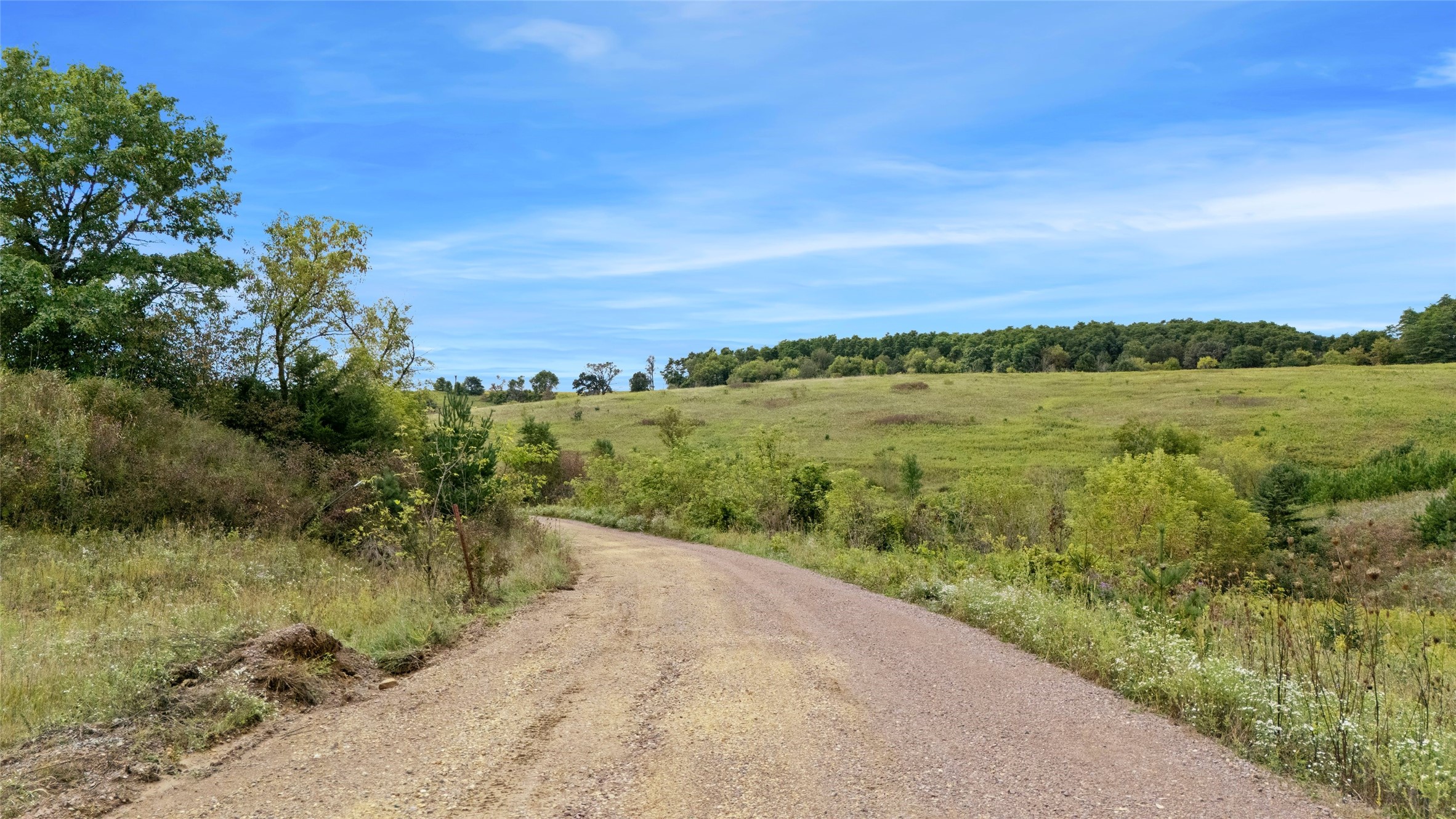 11124 W Neperud Road Property Photo 46