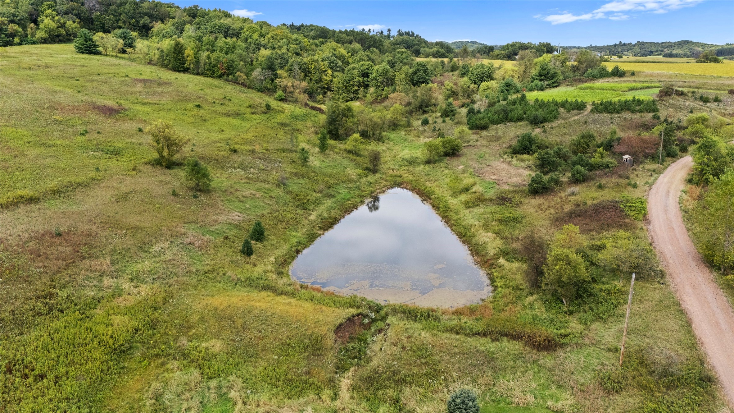 11124 W Neperud Road Property Photo 47