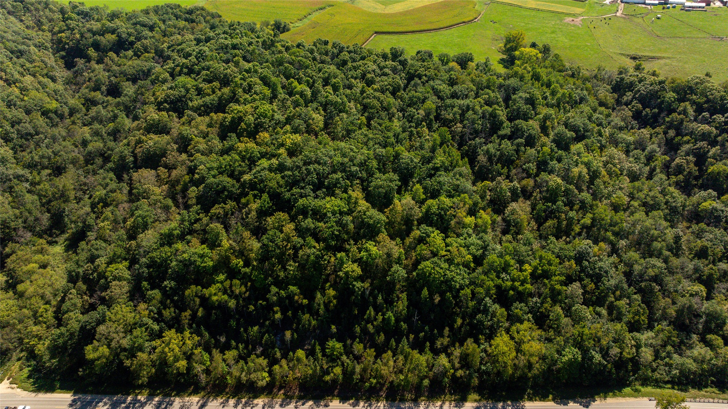 000 Us Highway 10 Property Photo 2