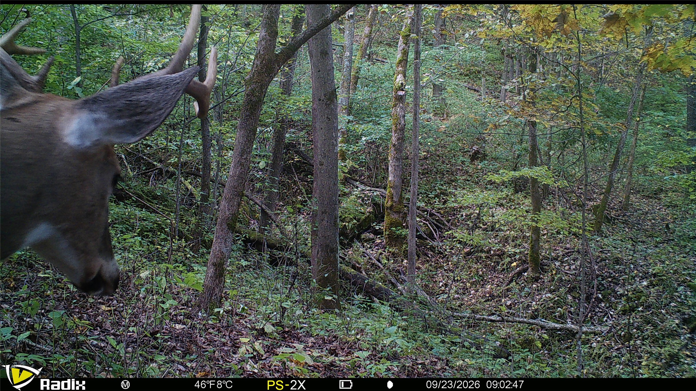 000 Us Highway 10 Property Photo 7