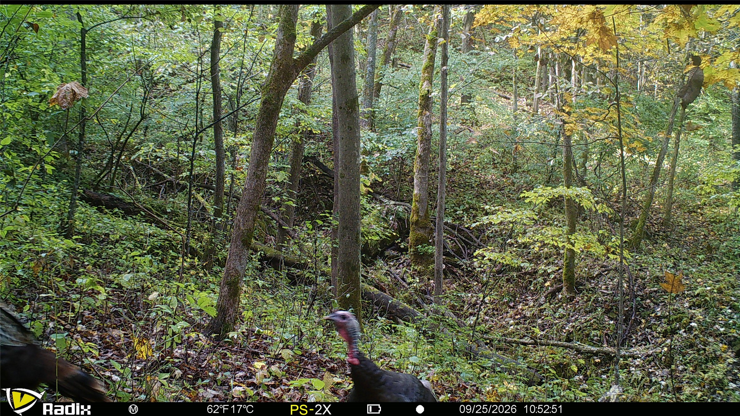 000 Us Highway 10 Property Photo 9