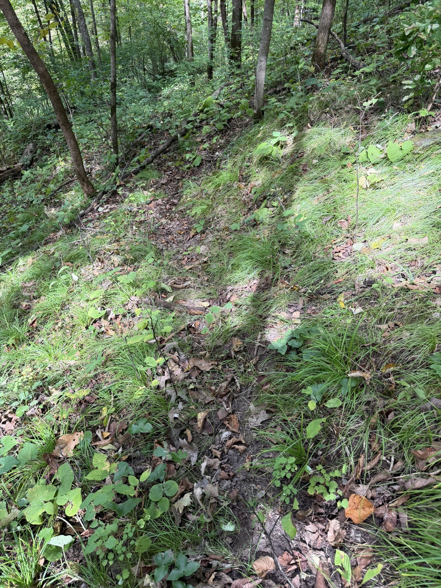 000 Us Highway 10 Property Photo 15