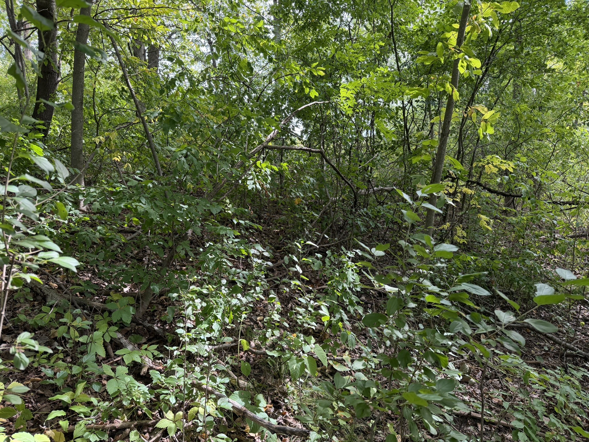 000 Us Highway 10 Property Photo 23
