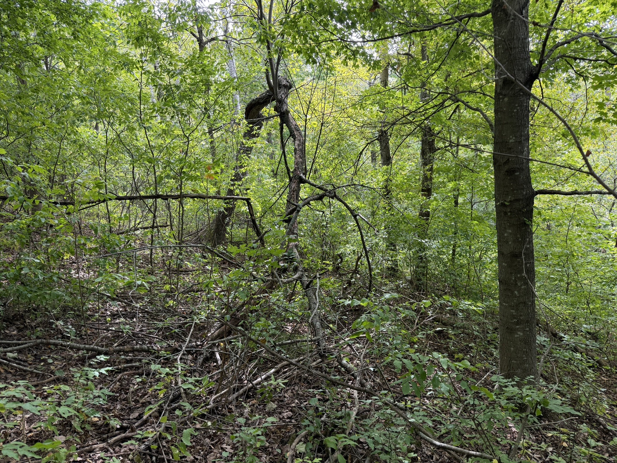 000 Us Highway 10 Property Photo 24