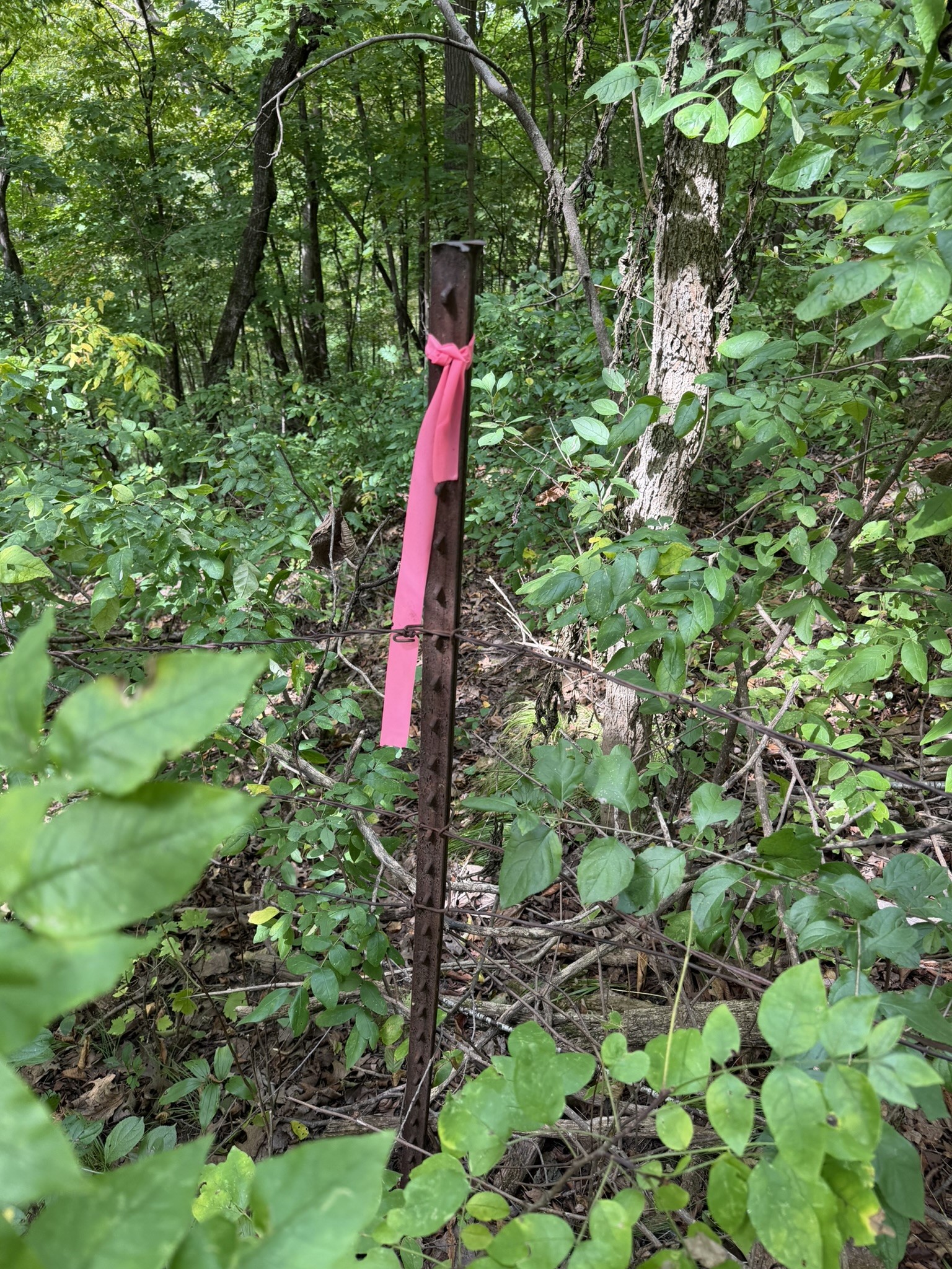 000 Us Highway 10 Property Photo 26