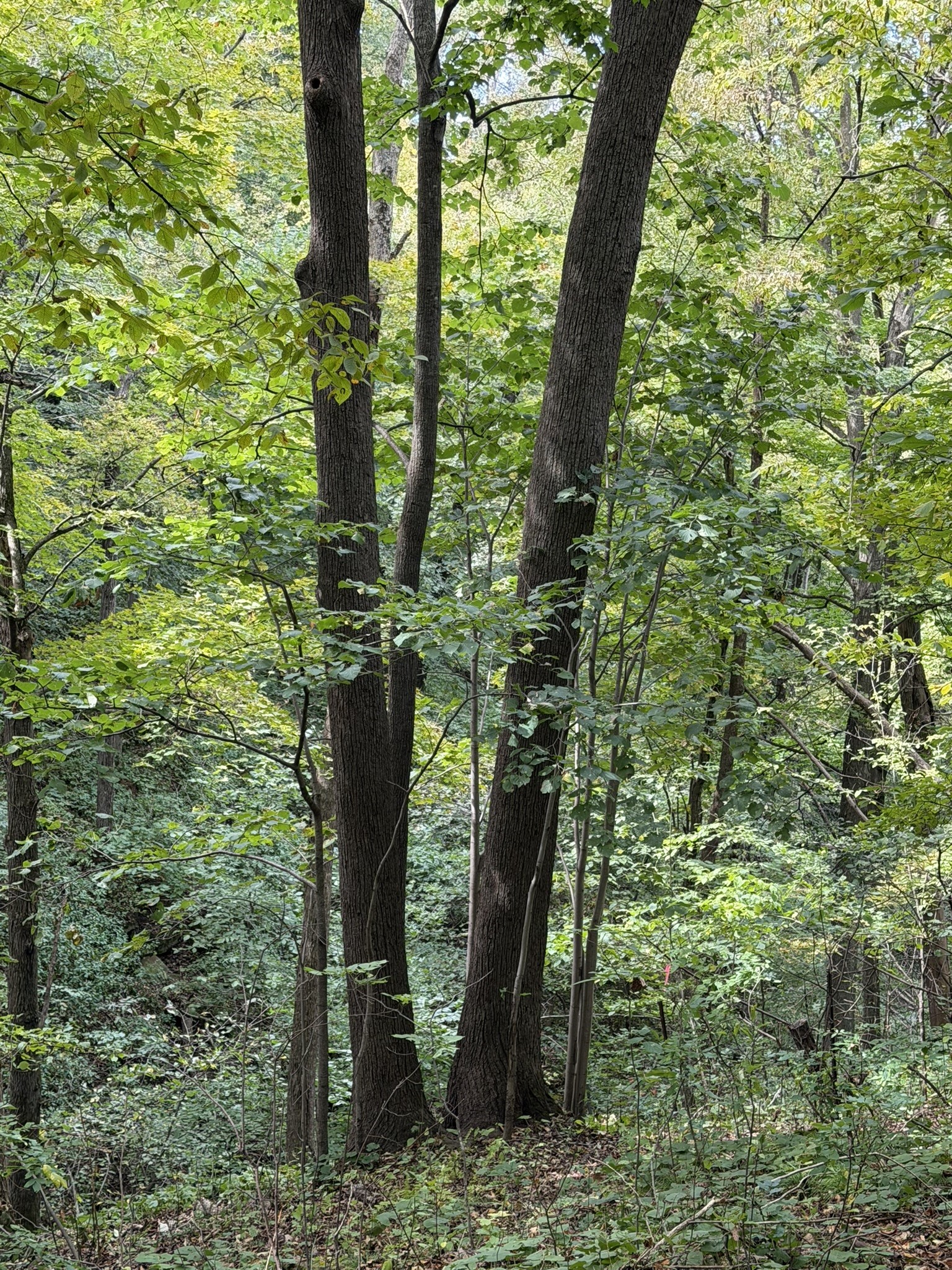 000 Us Highway 10 Property Photo 28
