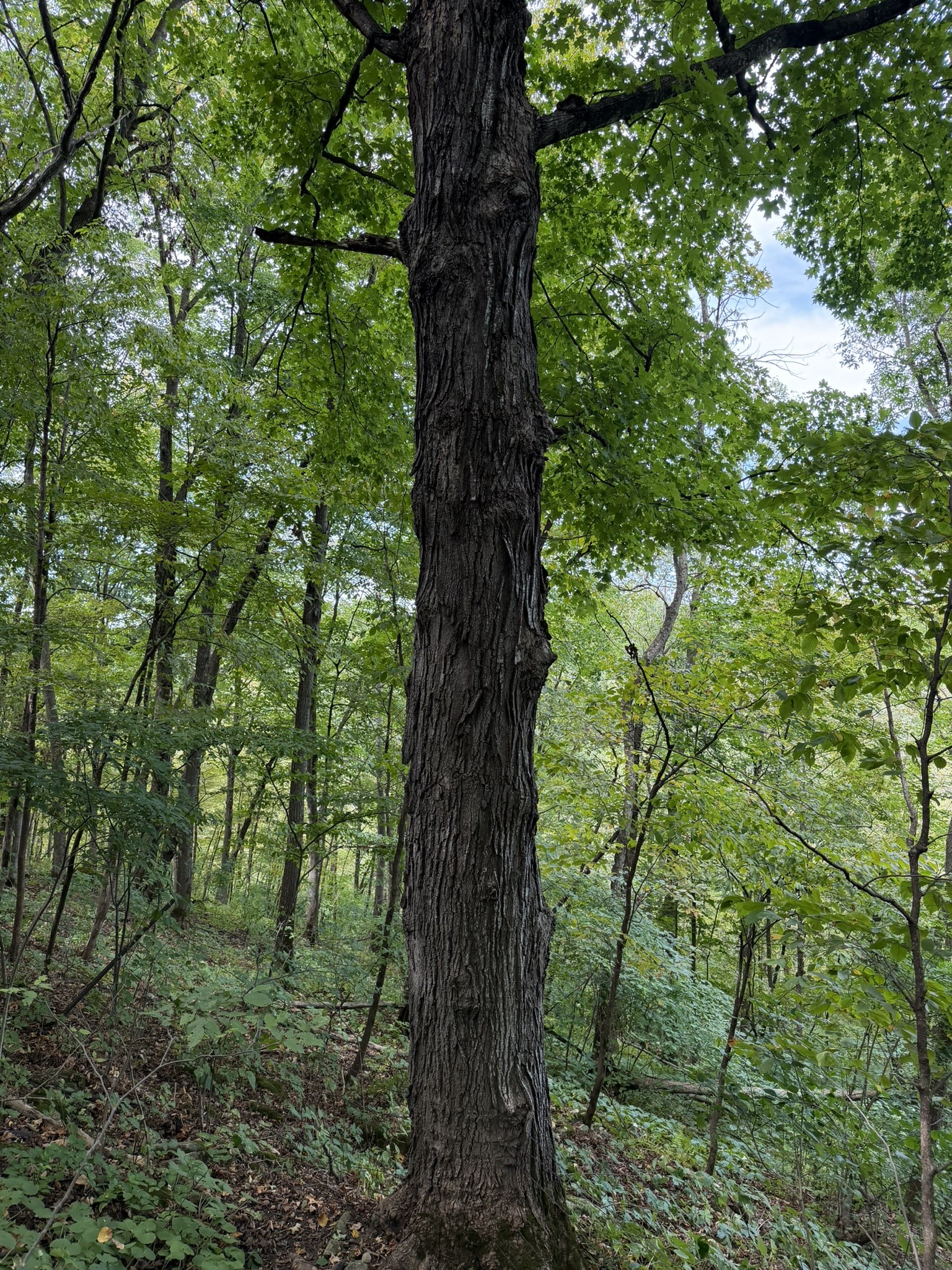 000 Us Highway 10 Property Photo 30