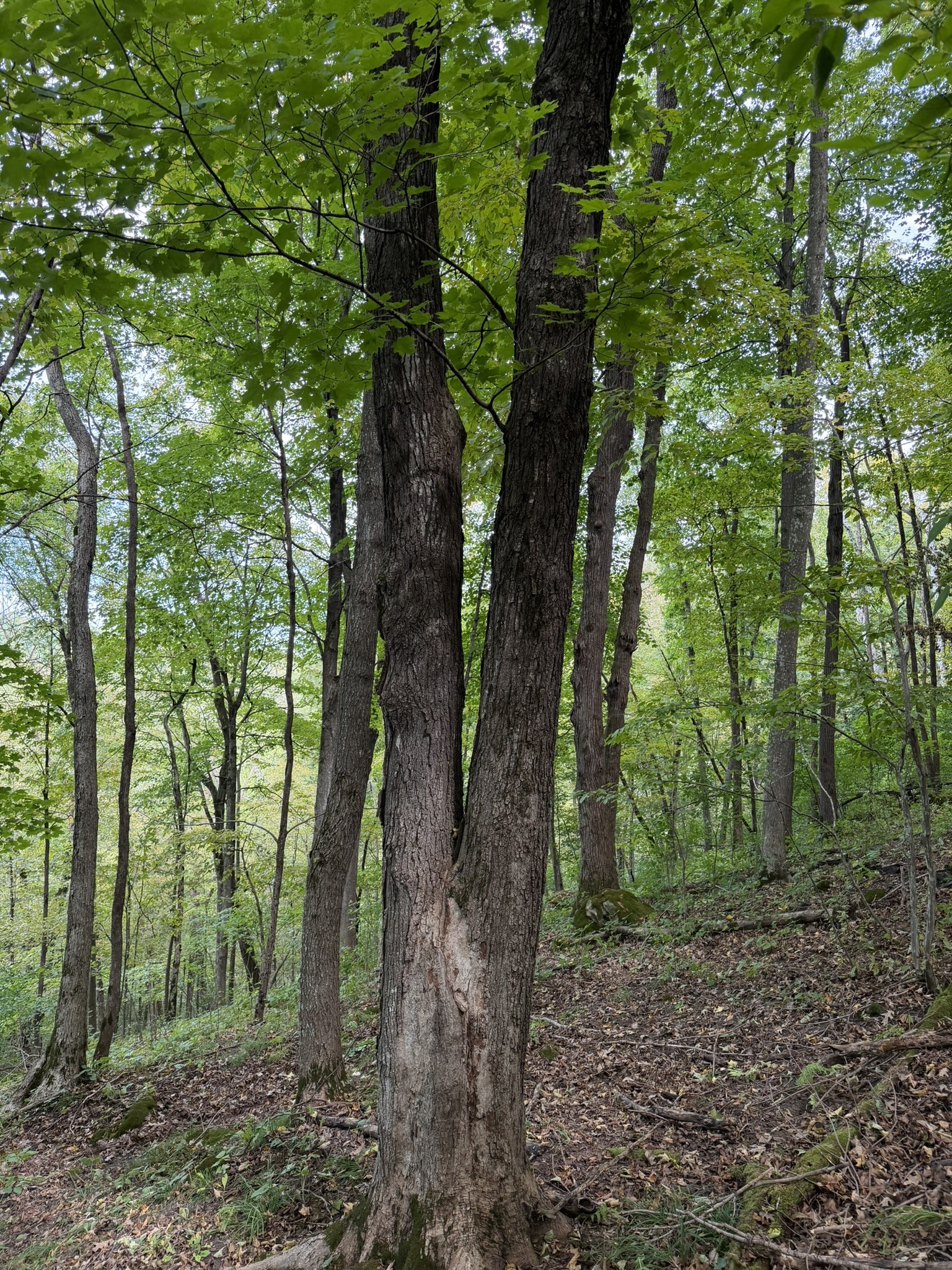 000 Us Highway 10 Property Photo 31