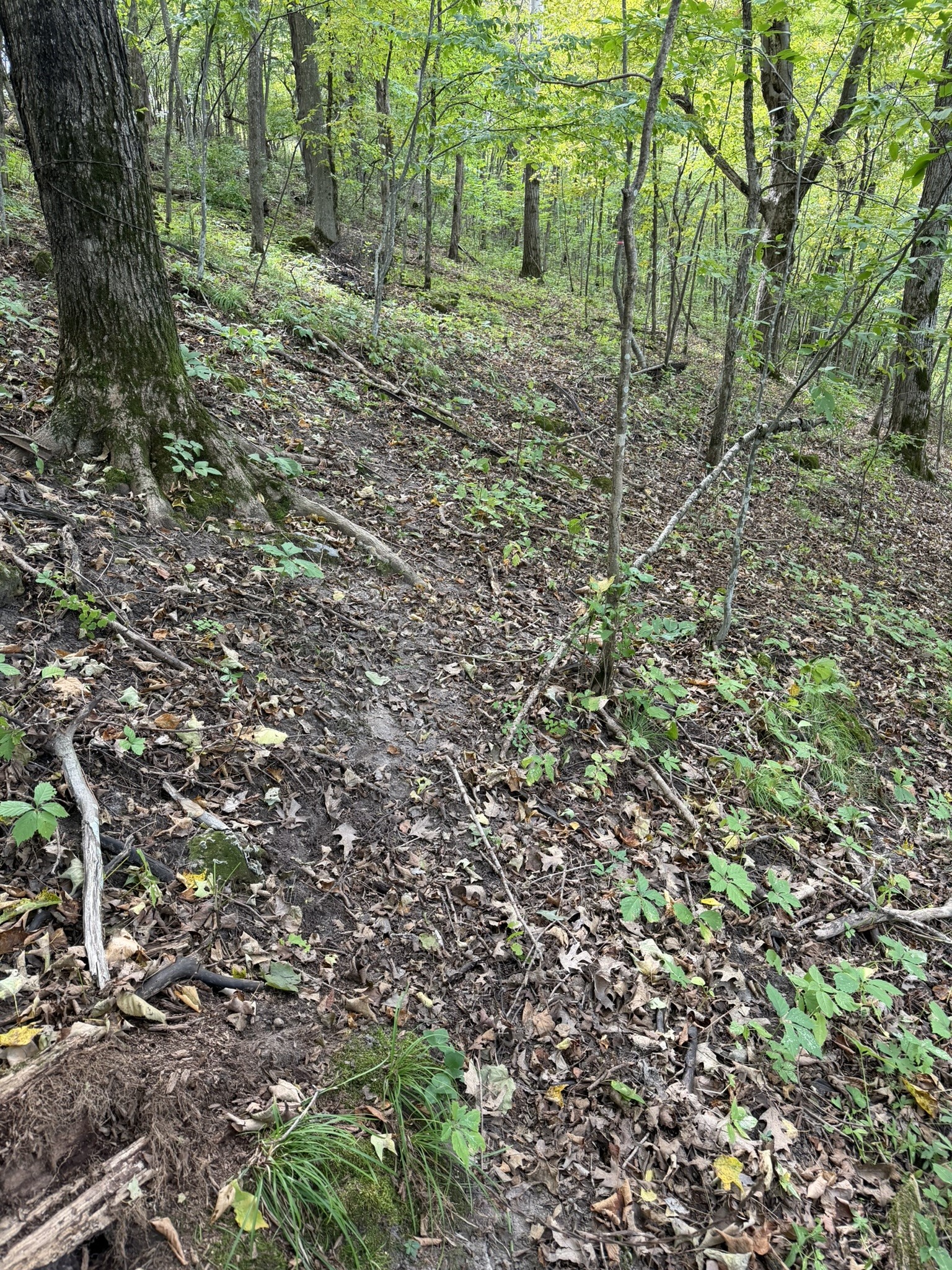 000 Us Highway 10 Property Photo 32