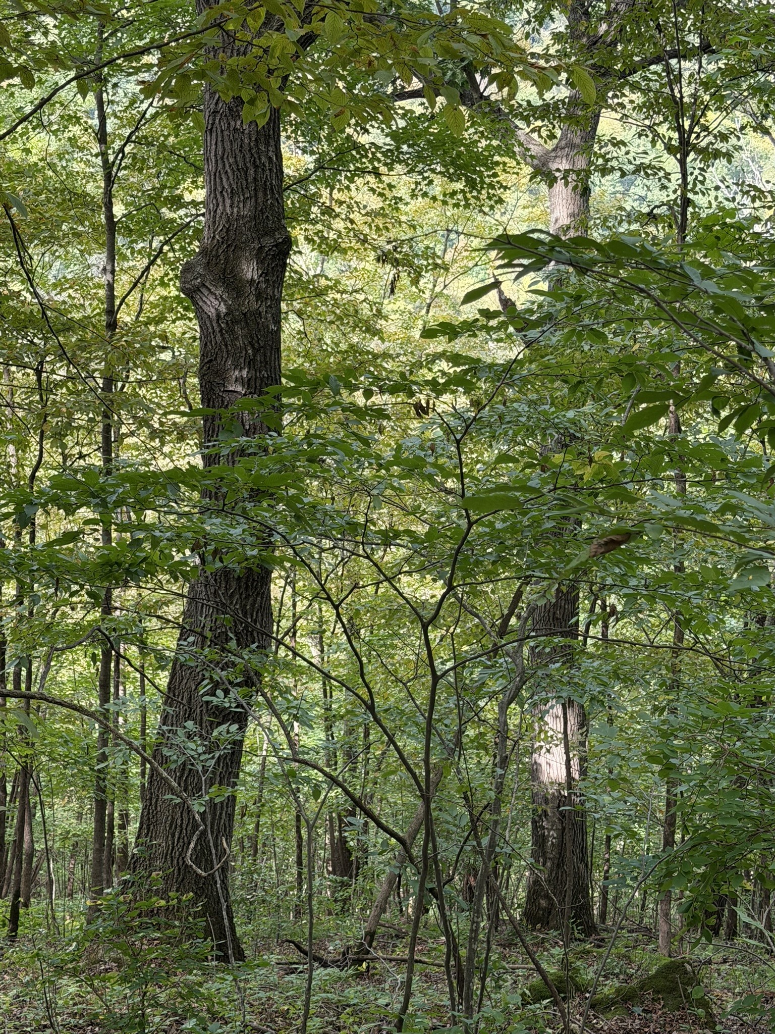000 Us Highway 10 Property Photo 33