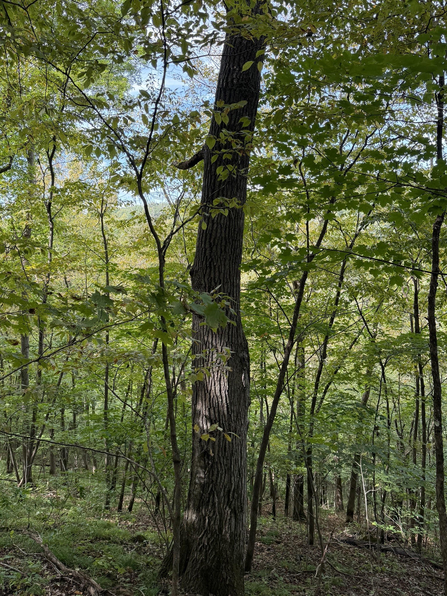 000 Us Highway 10 Property Photo 34