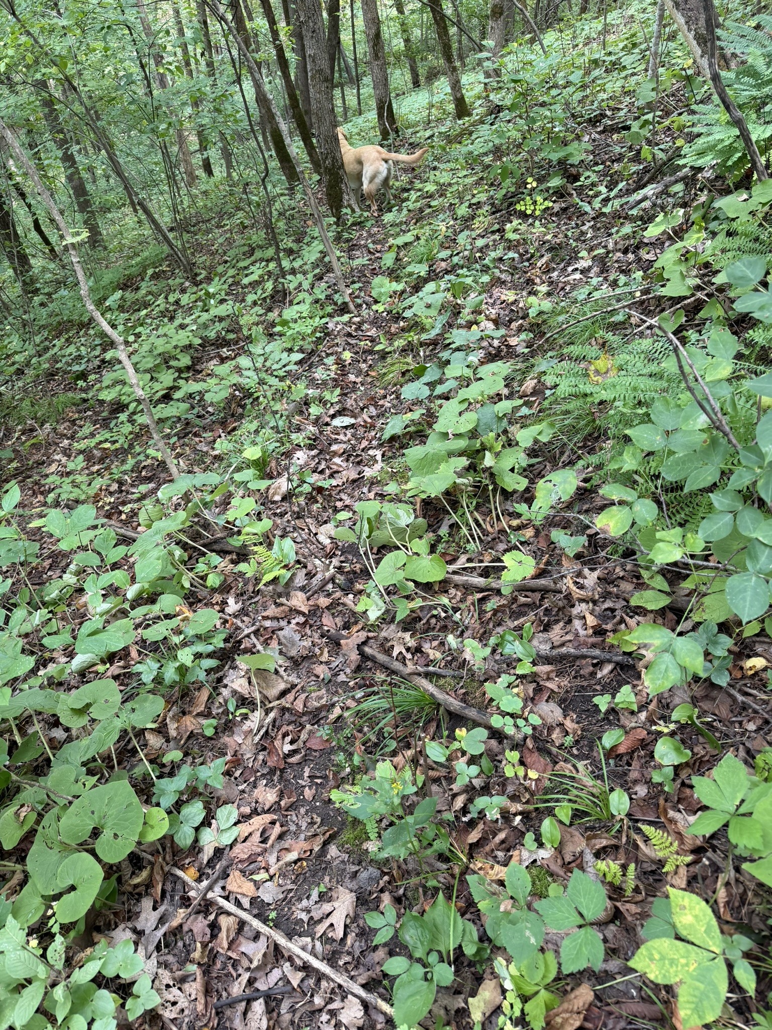 000 Us Highway 10 Property Photo 35