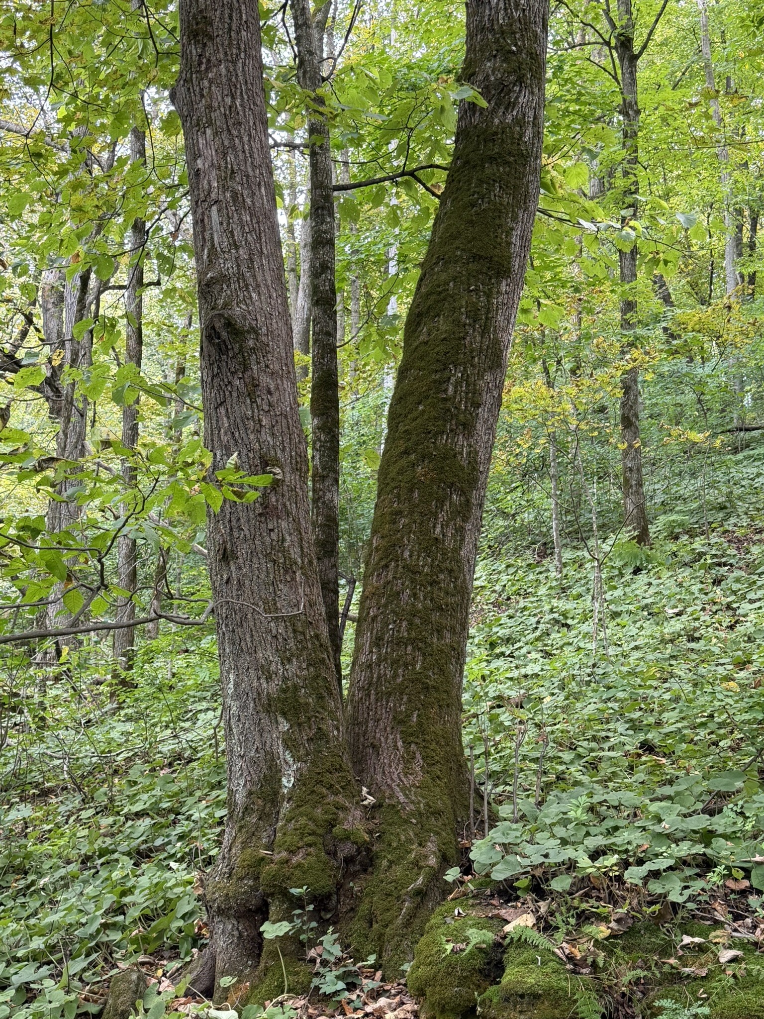 000 Us Highway 10 Property Photo 37
