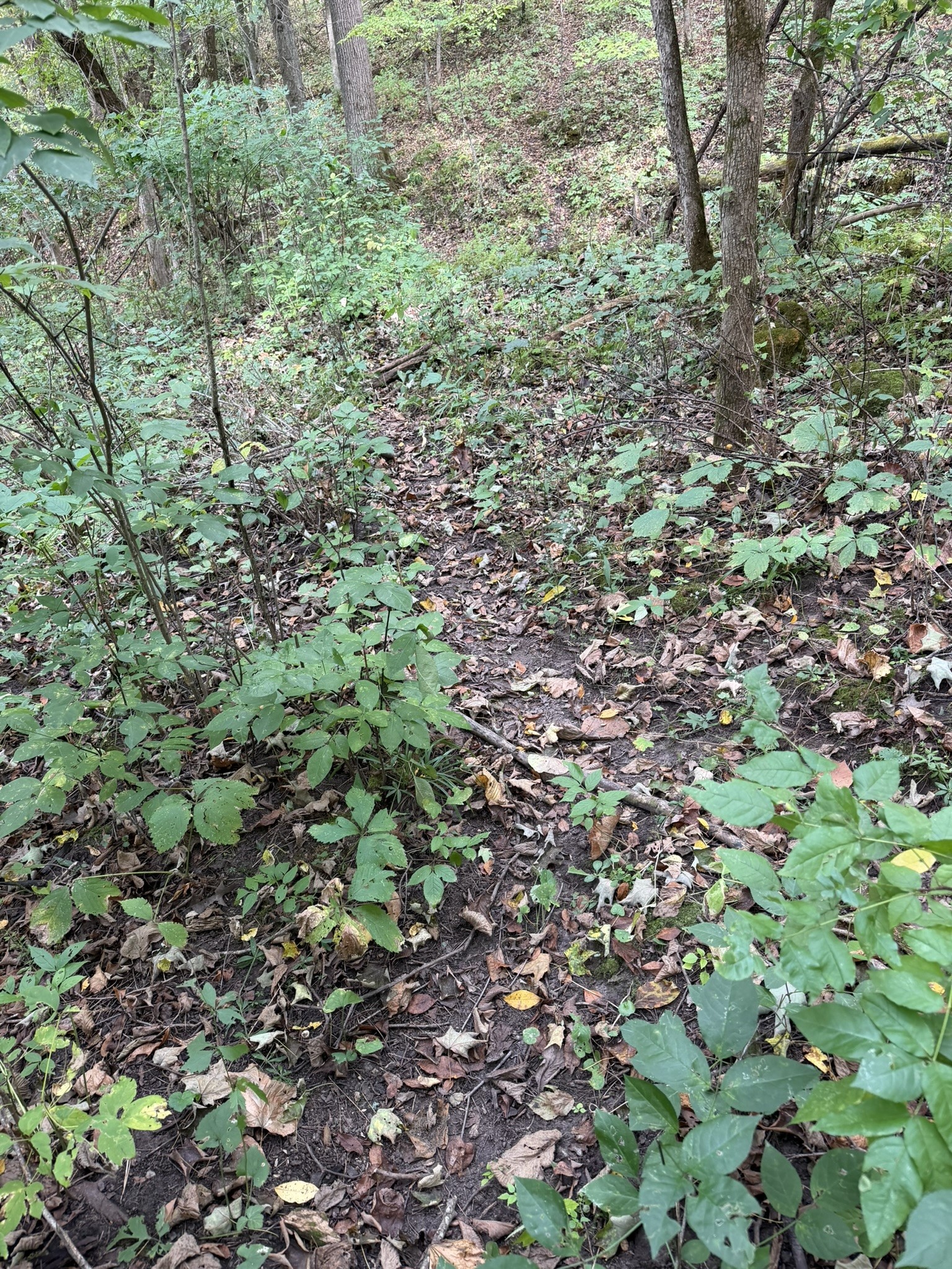 000 Us Highway 10 Property Photo 39