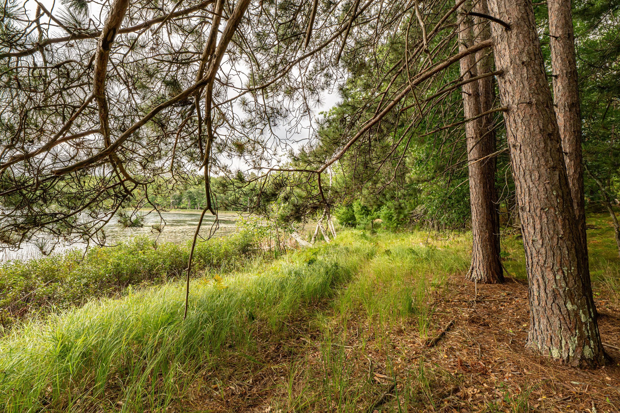 003 Birch Lake Road Property Photo 5