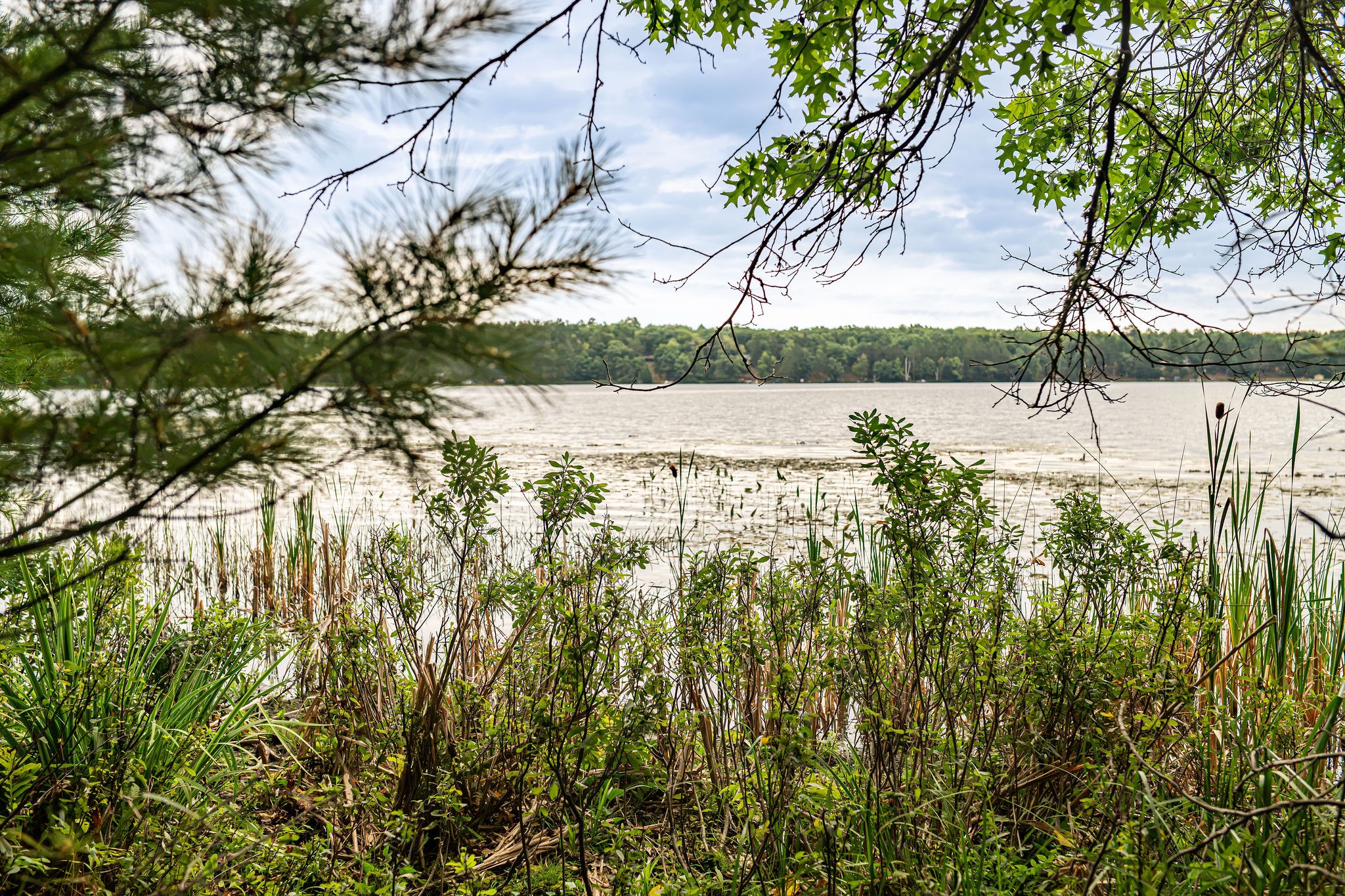 003 Birch Lake Road Property Photo 8