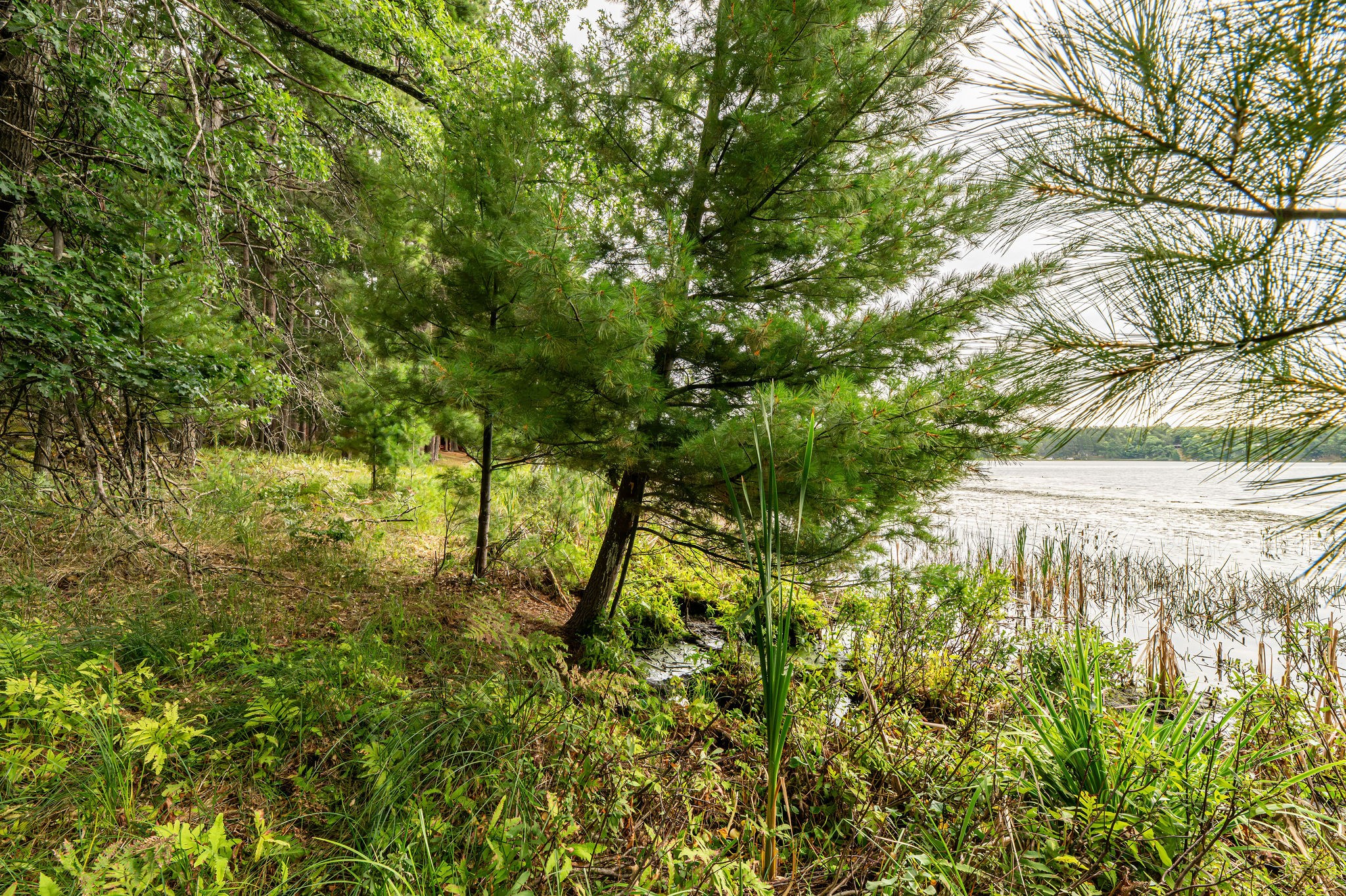 003 Birch Lake Road Property Photo 10