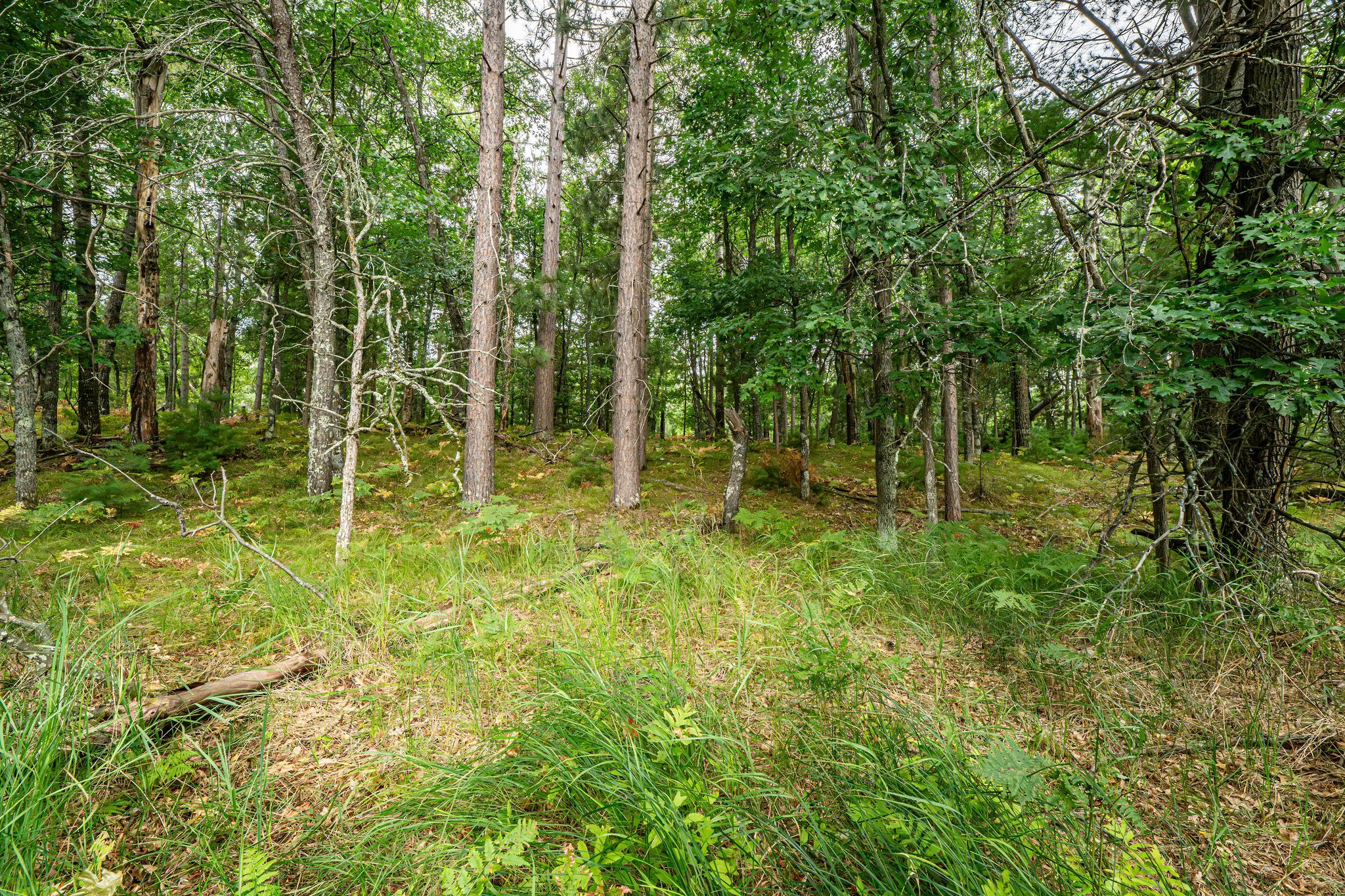 003 Birch Lake Road Property Photo 11
