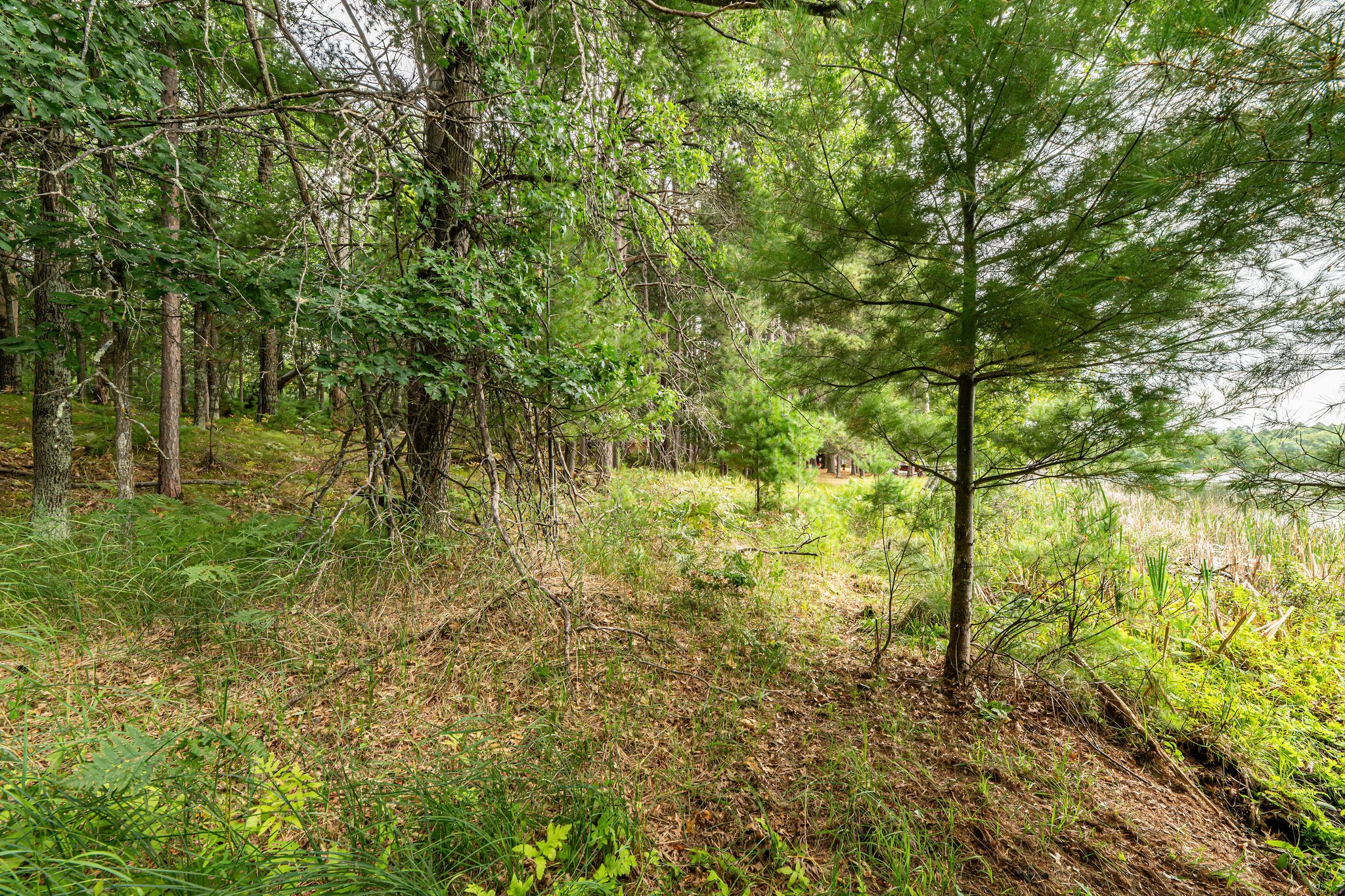 003 Birch Lake Road Property Photo 12