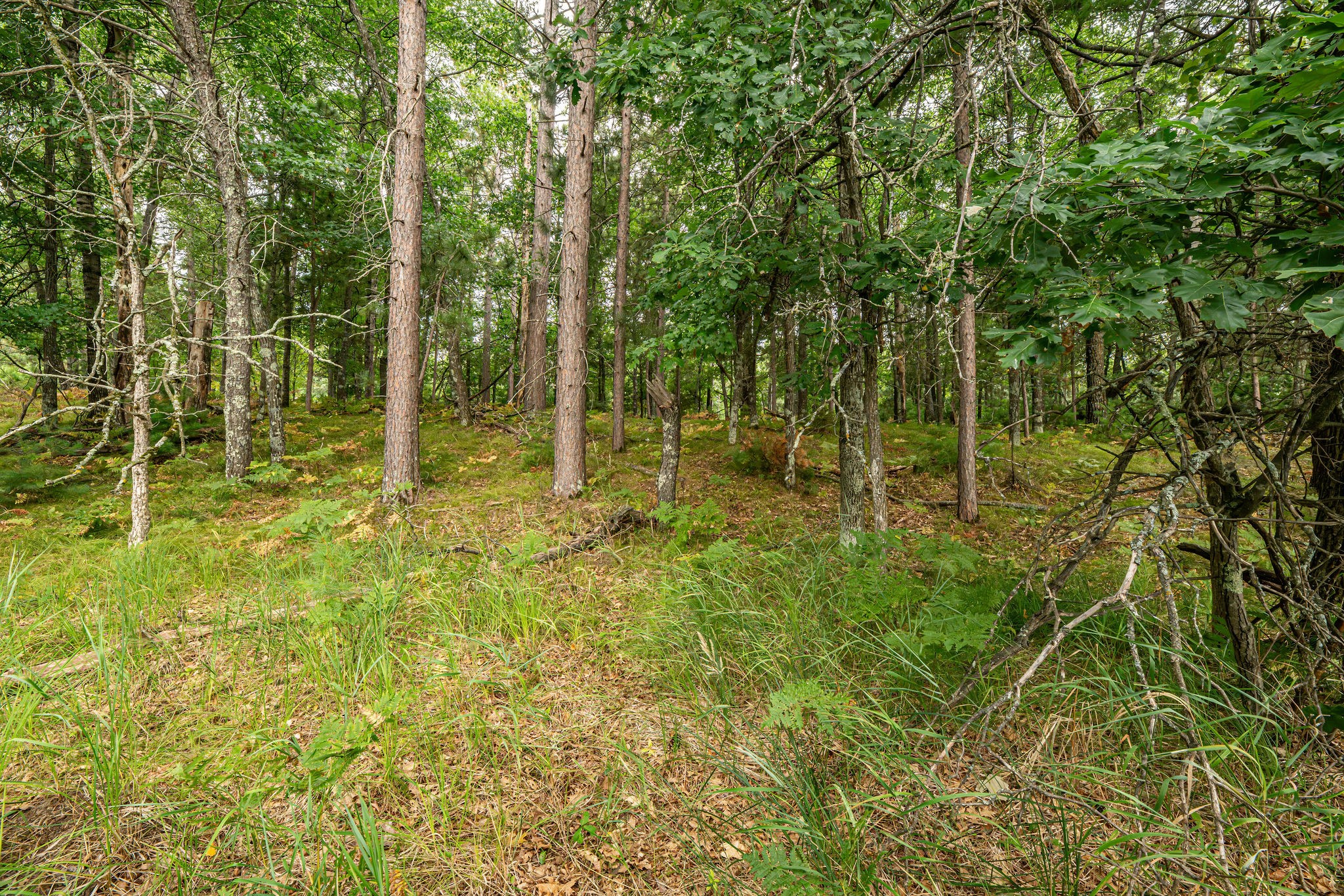 003 Birch Lake Road Property Photo 13
