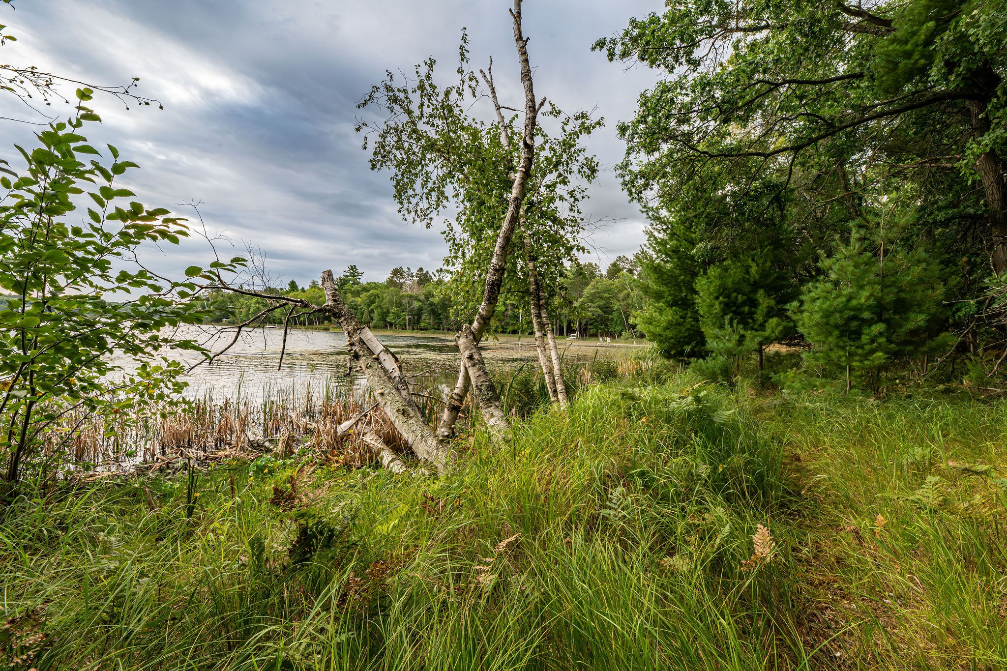 003 Birch Lake Road Property Photo 15