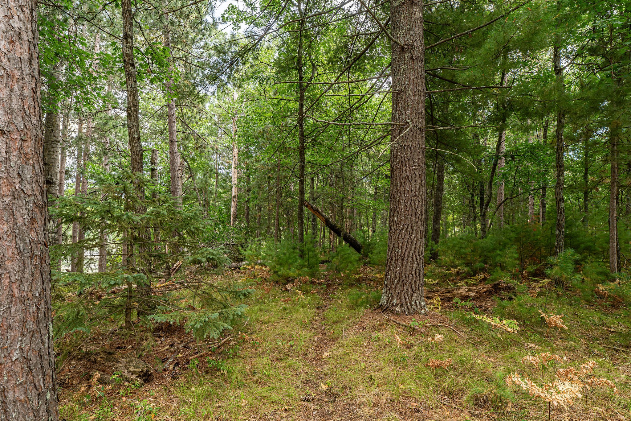 003 Birch Lake Road Property Photo 16